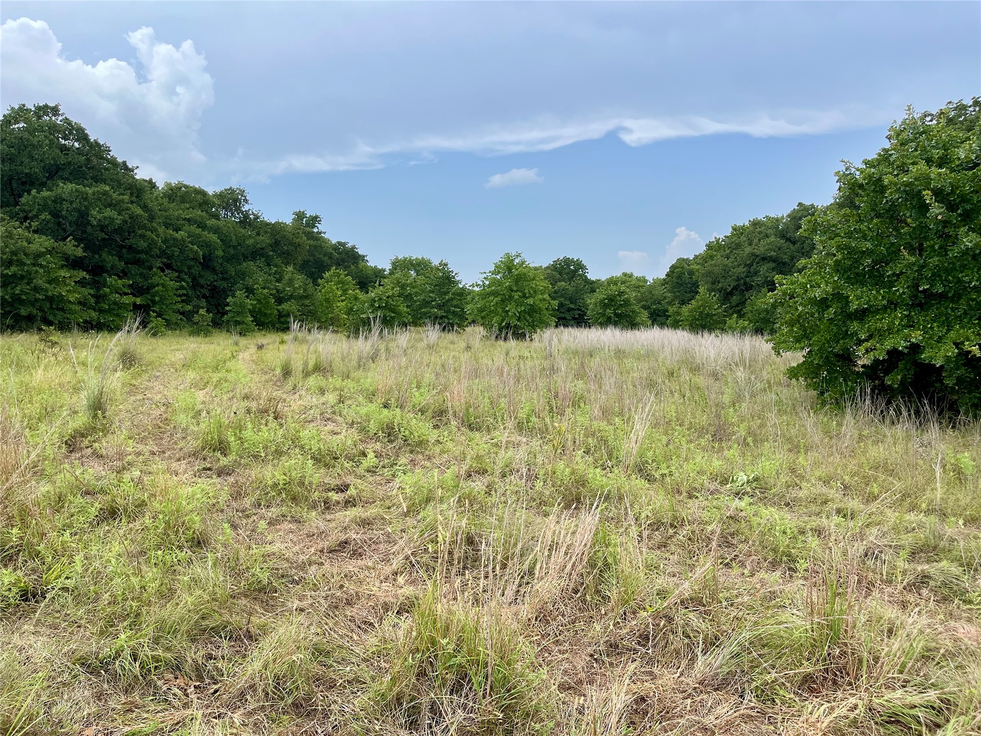 Maverick Road Property Photo 17
