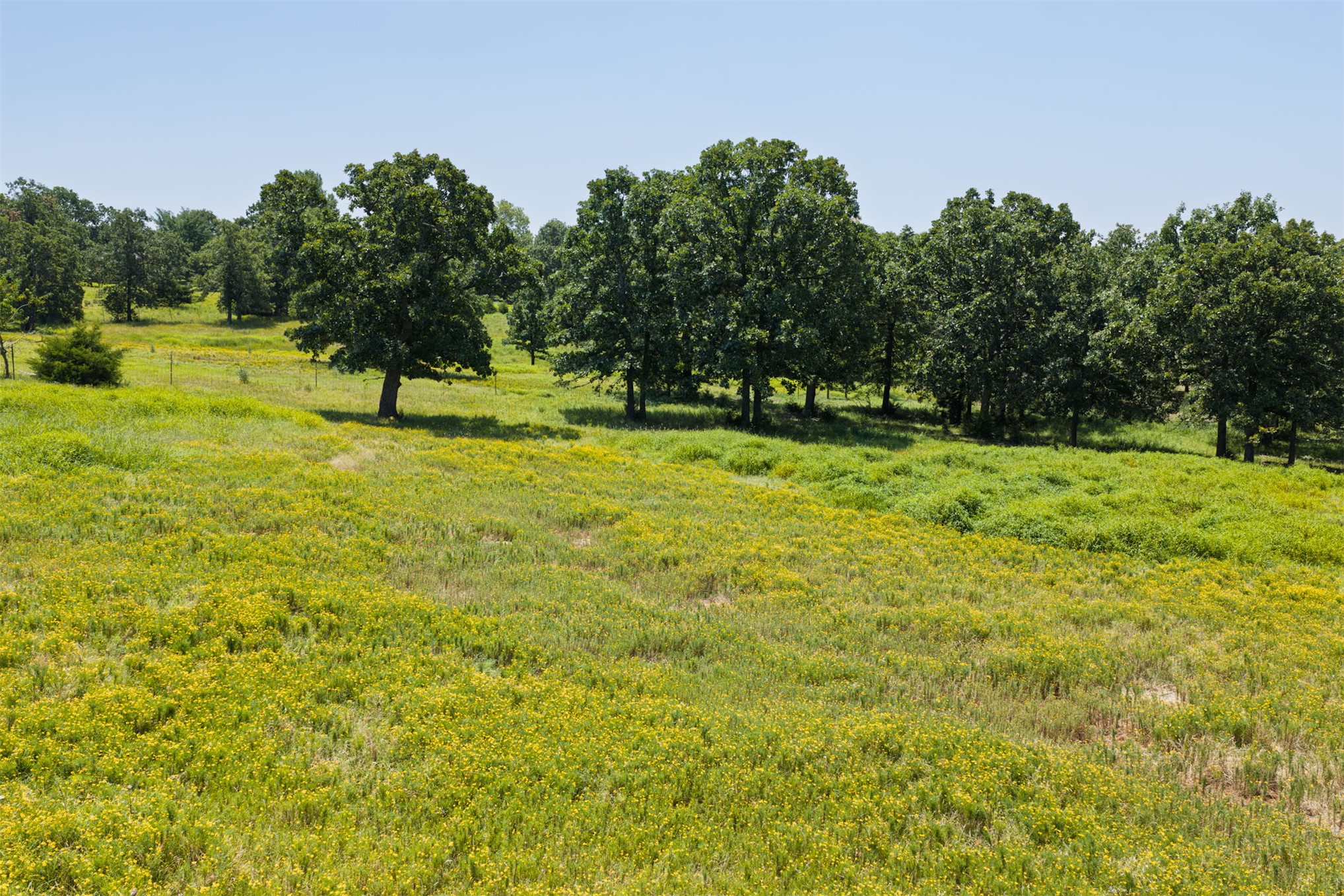 65 Sioux Circle Property Photo 47