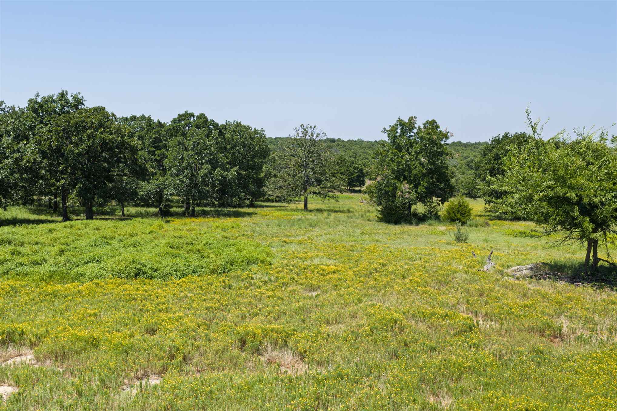 65 Sioux Circle Property Photo 48