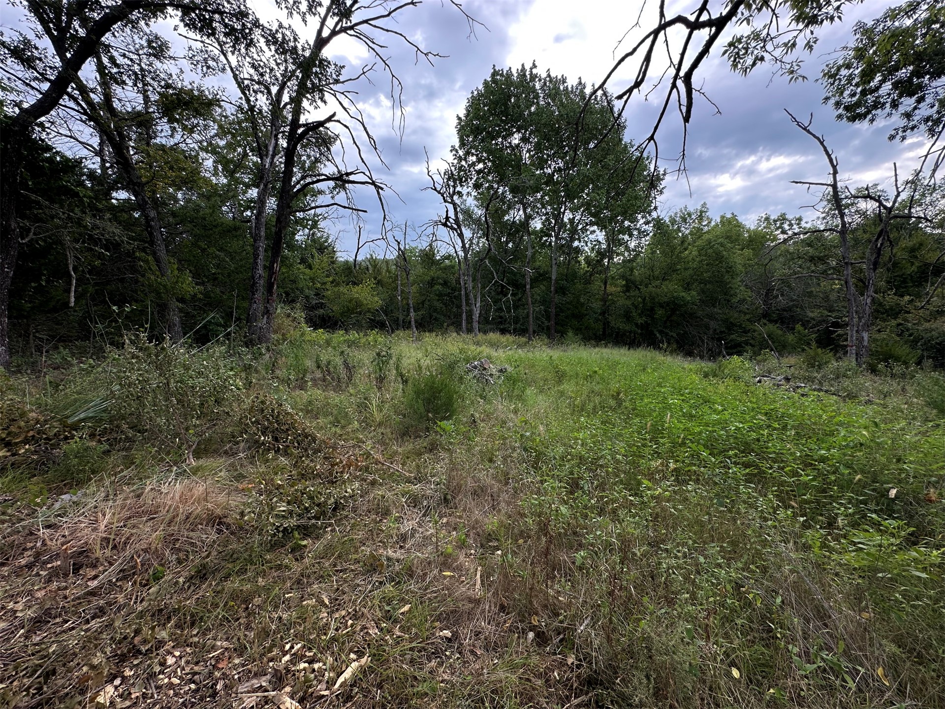 4036 Mcalester Lake Road Property Photo 25