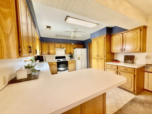 2411 Woodleaf Court Property Photo 9