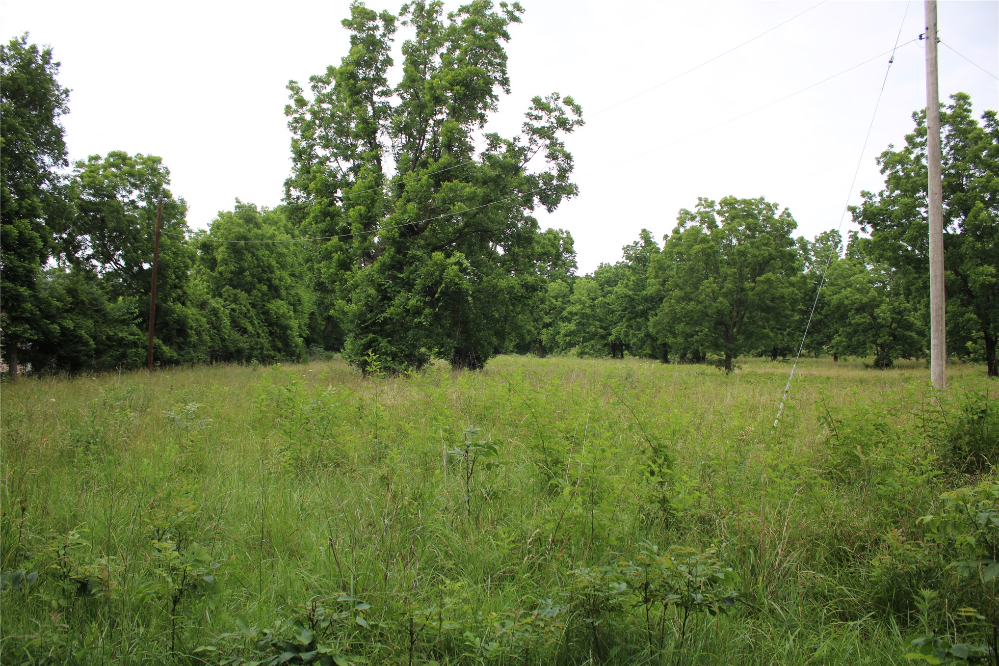 0000 S 426 Road Property Photo 7