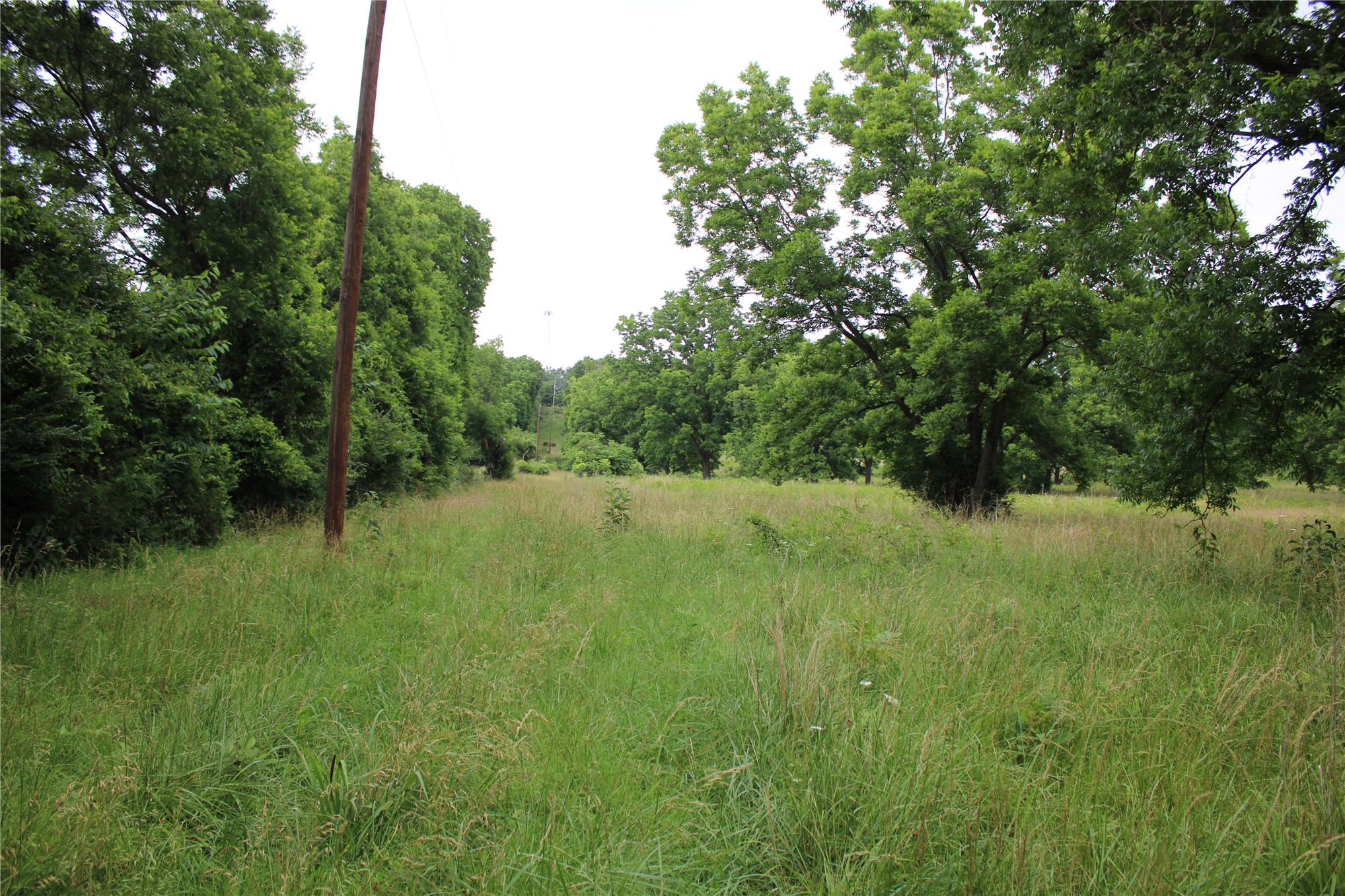 0000 S 426 Road Property Photo 8