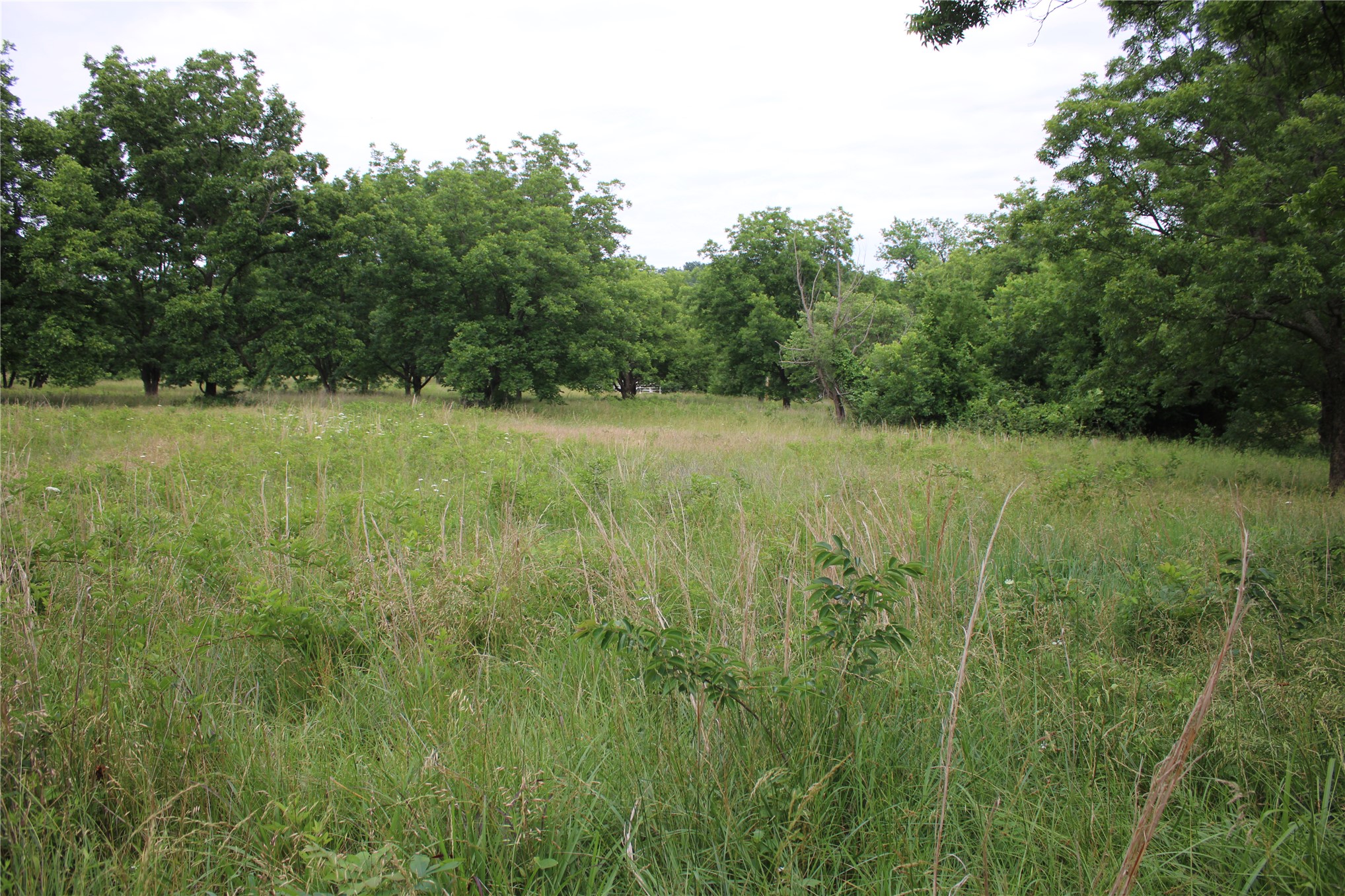 0000 S 426 Road Property Photo 10