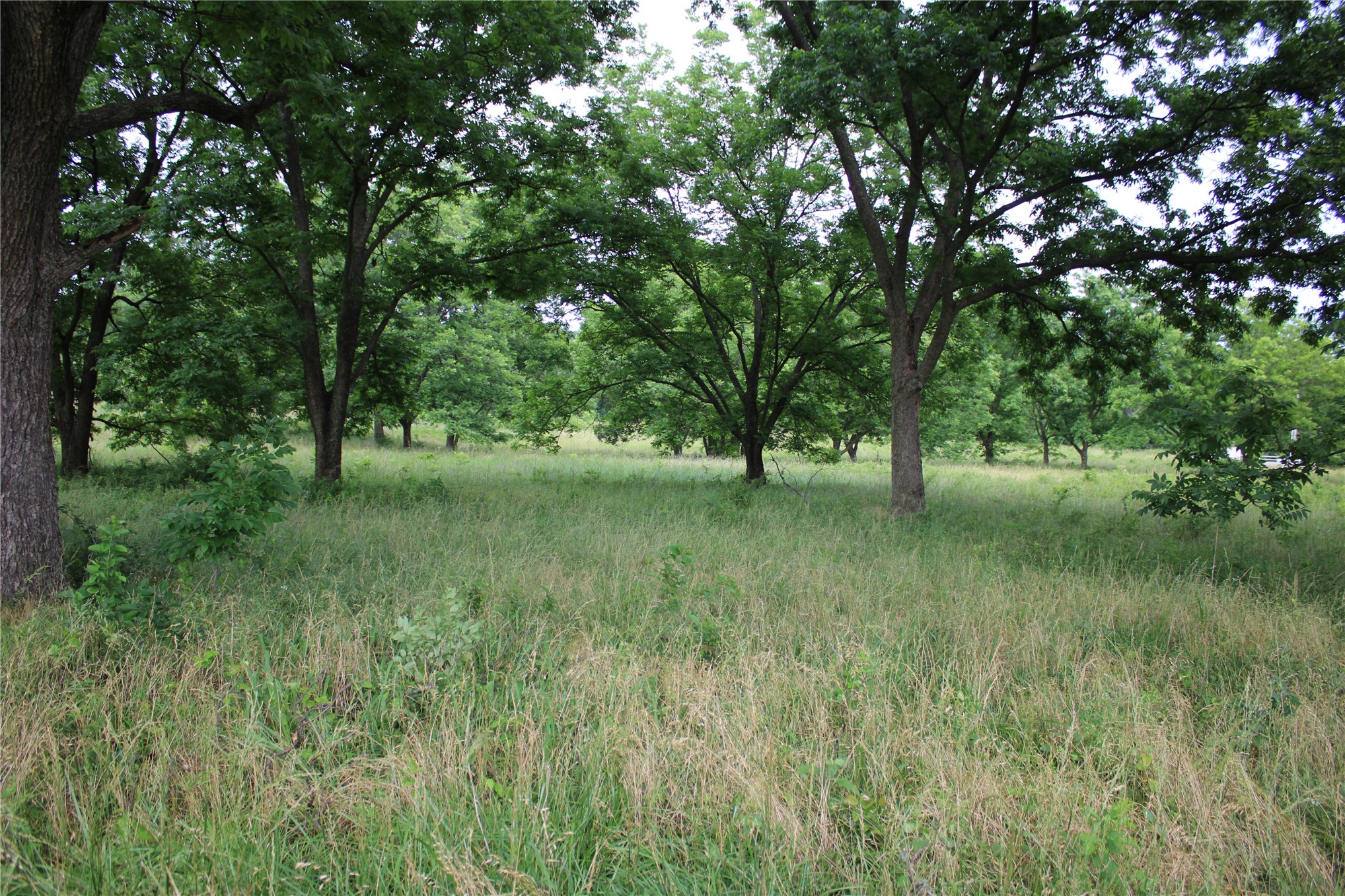 0000 S 426 Road Property Photo 11