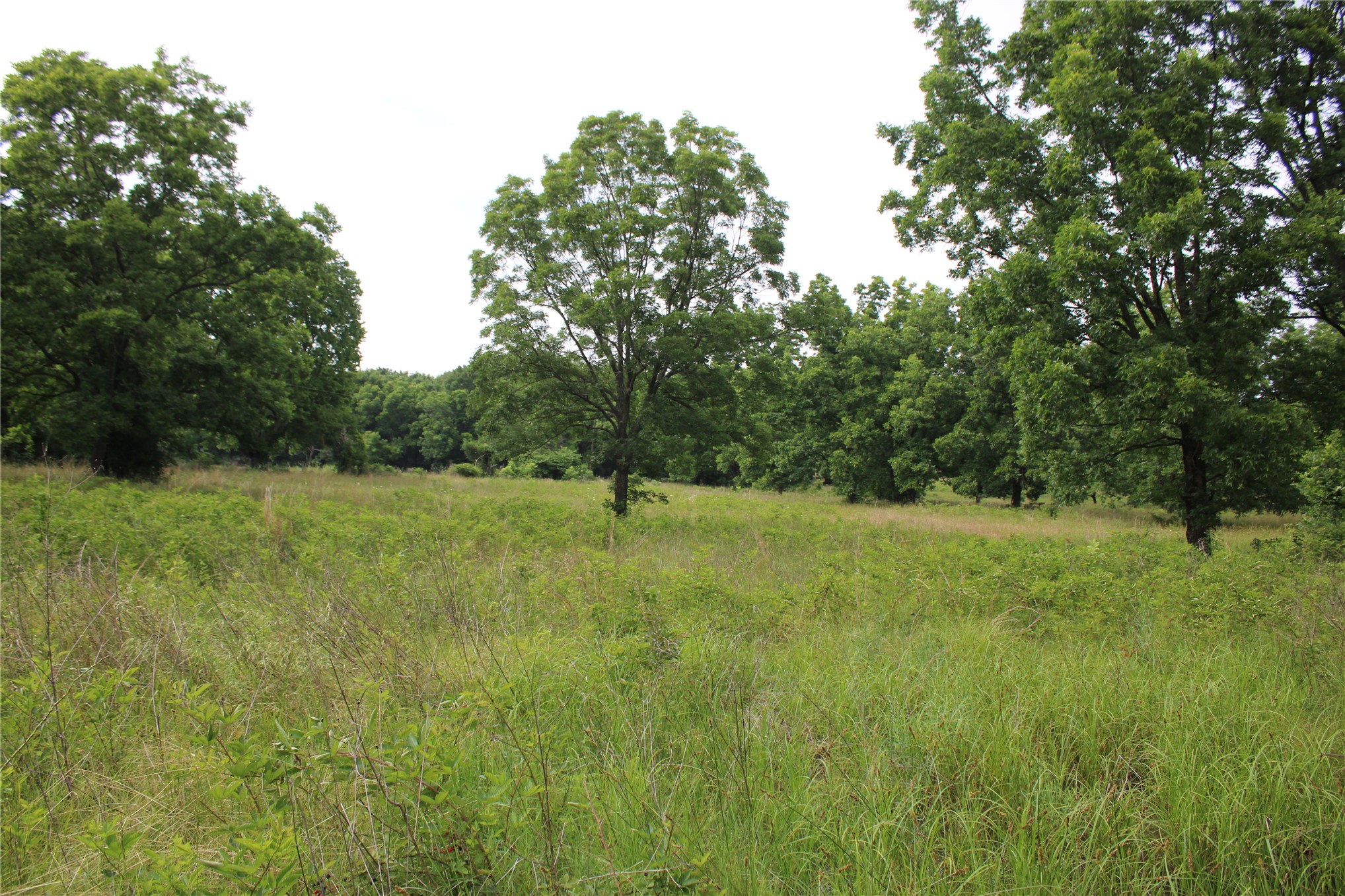 0000 S 426 Road Property Photo 13