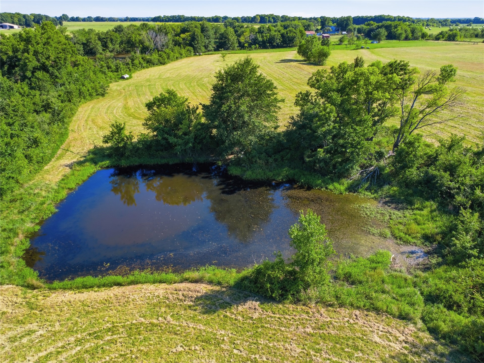 21499 Bald Hill Road Property Photo 48