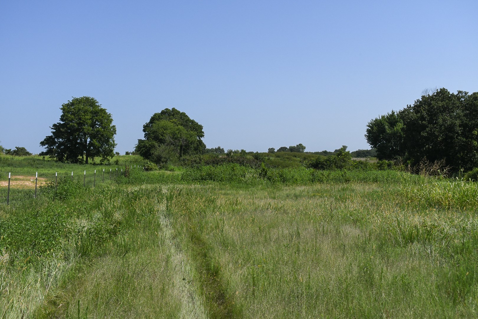 6680 State Highway 3w Property Photo 11
