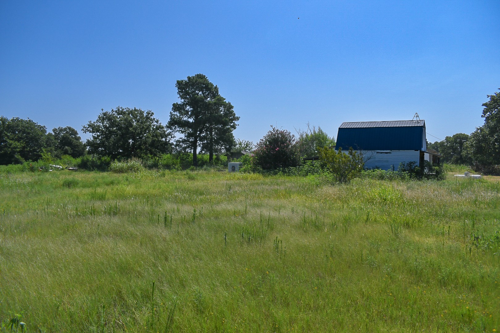 6680 State Highway 3w Property Photo 12