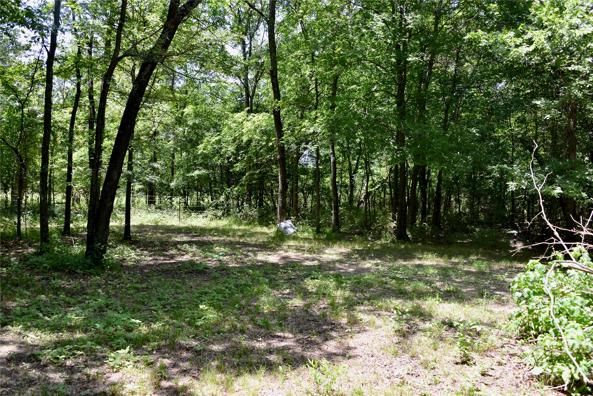 2330 S Bixby Road Property Photo 16