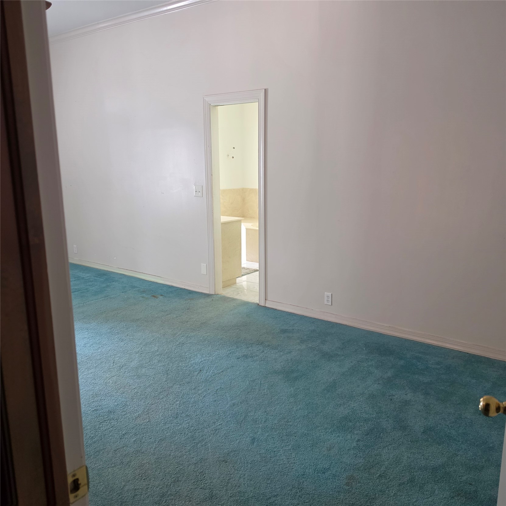 1403 N Maple Avenue Property Photo 23