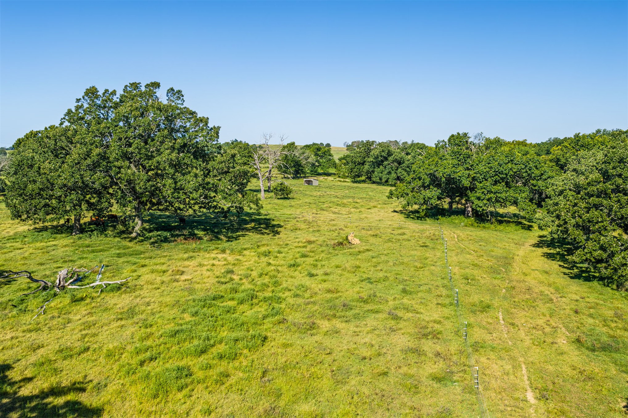 433732 E 265 Property Photo 43