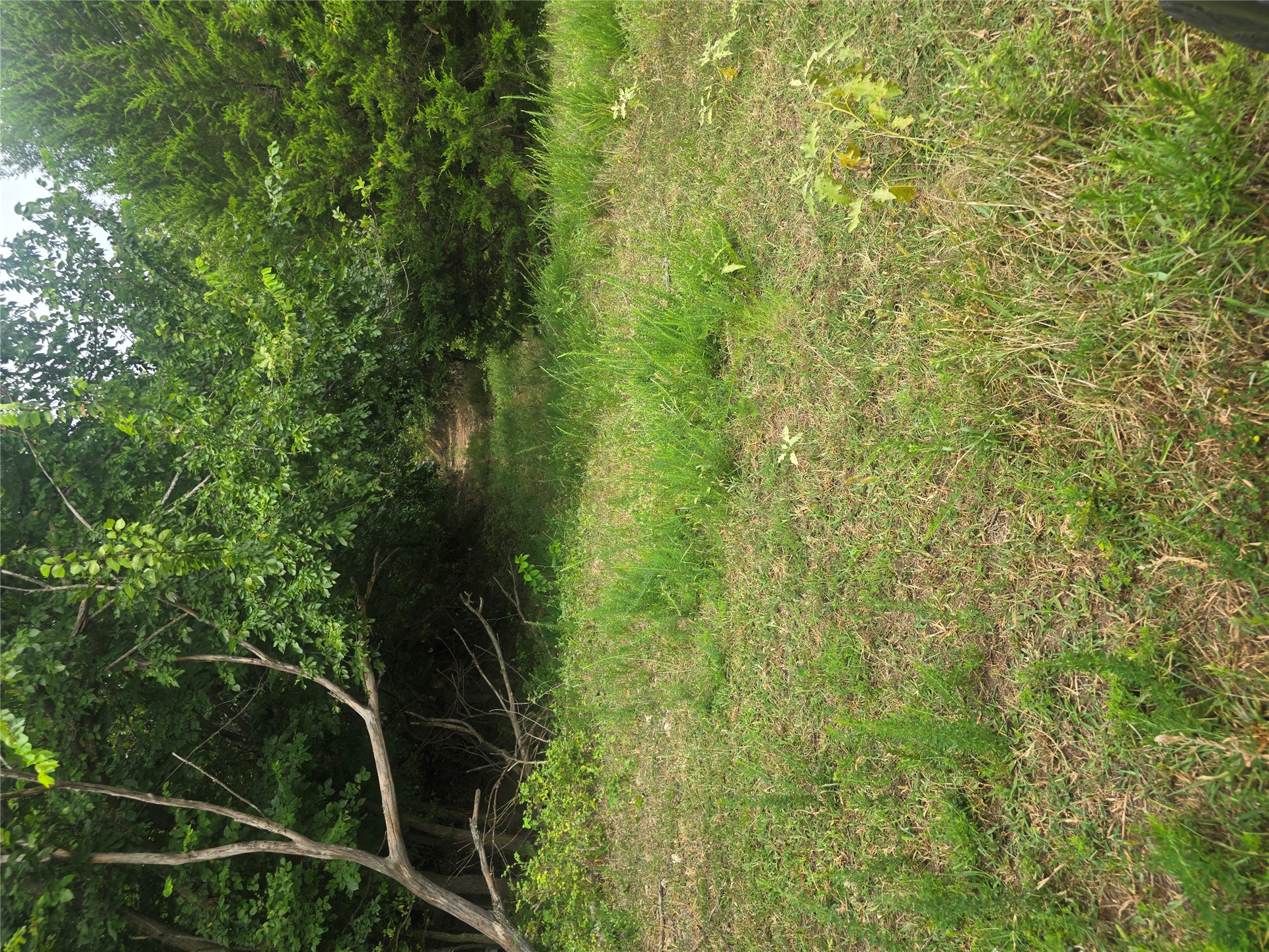 Hwy 18 Highway Property Photo 16