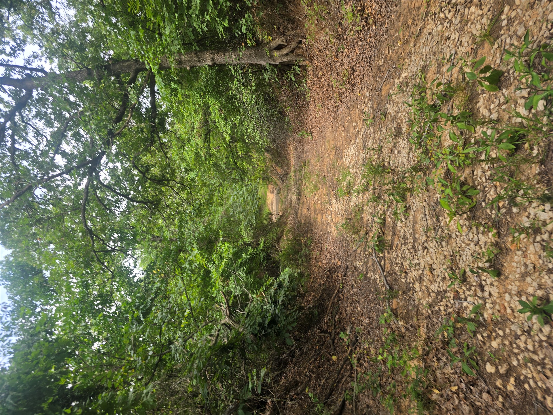 Hwy 18 Highway Property Photo 17