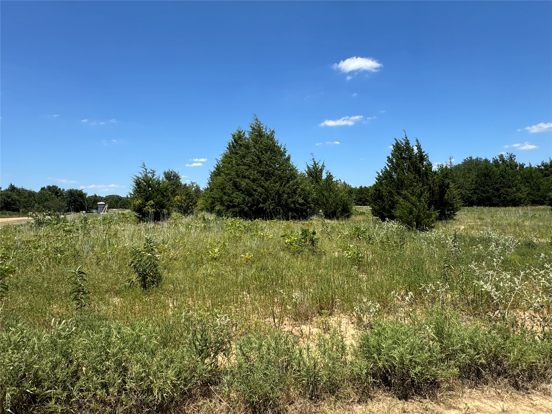 39 Sugar Cone Road Property Photo 3