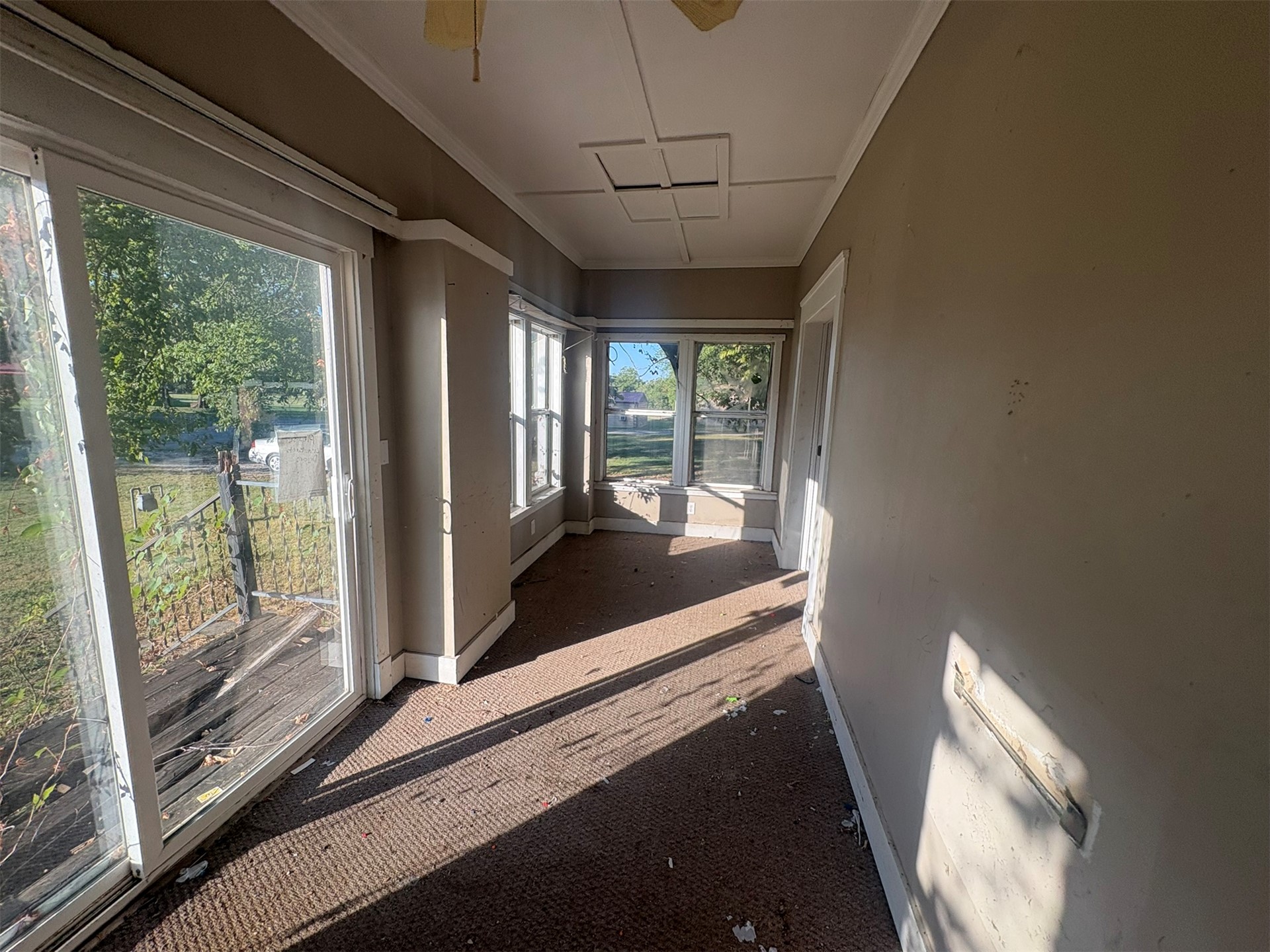 204 Olive Street Property Photo 11