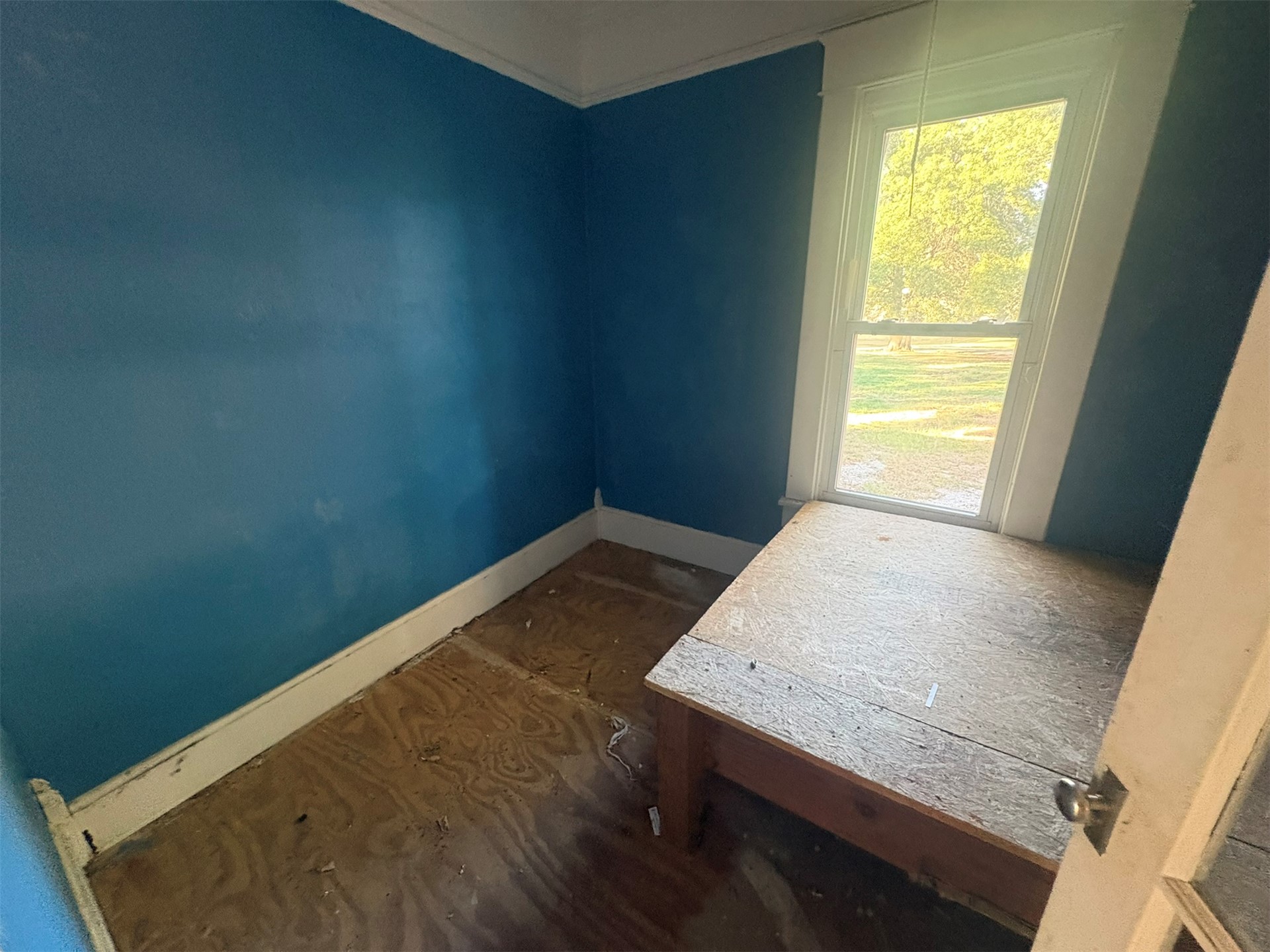 204 Olive Street Property Photo 15