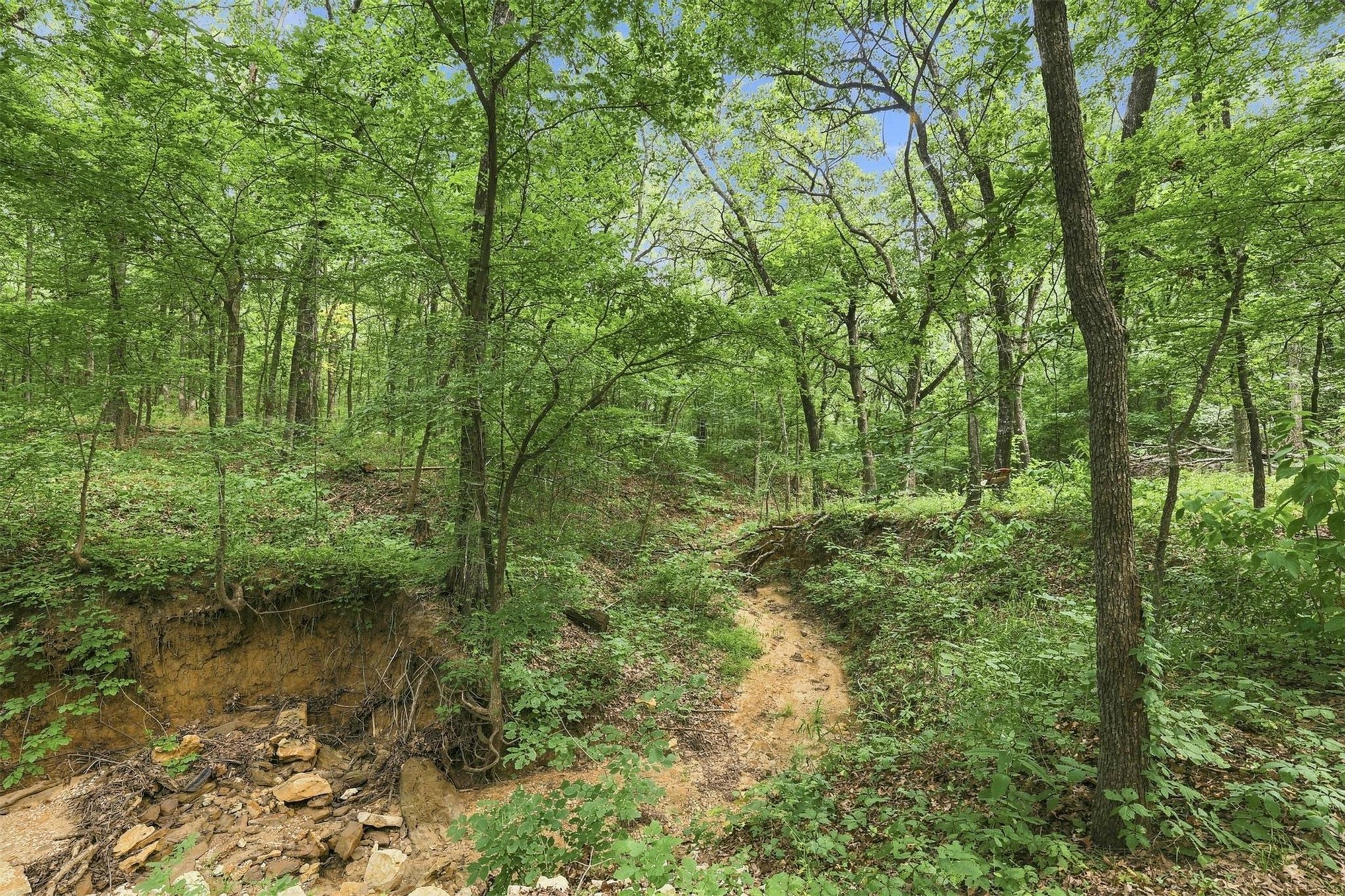 8587 Texoma Hills Property Photo 47
