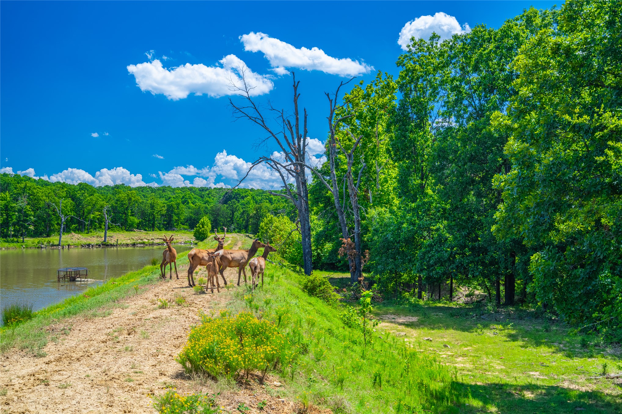 2502 N 386 Road Property Photo 45