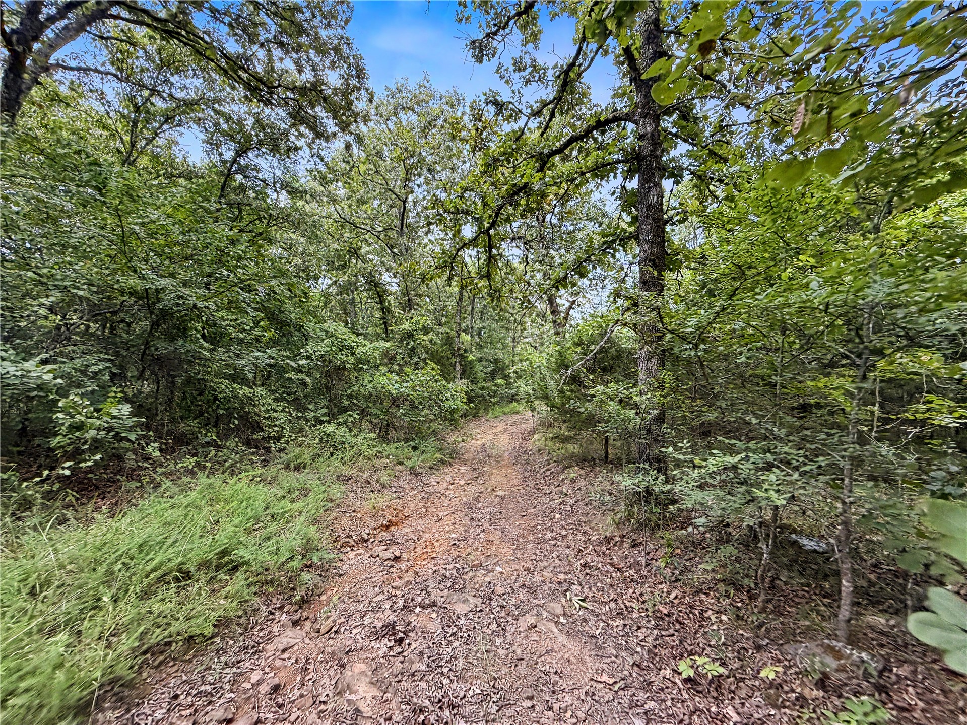 15265 W 917 Road Property Photo 10
