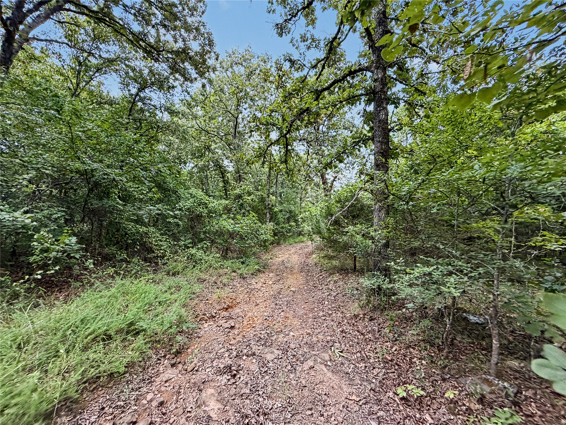 15265 W 917 Road Property Photo 10