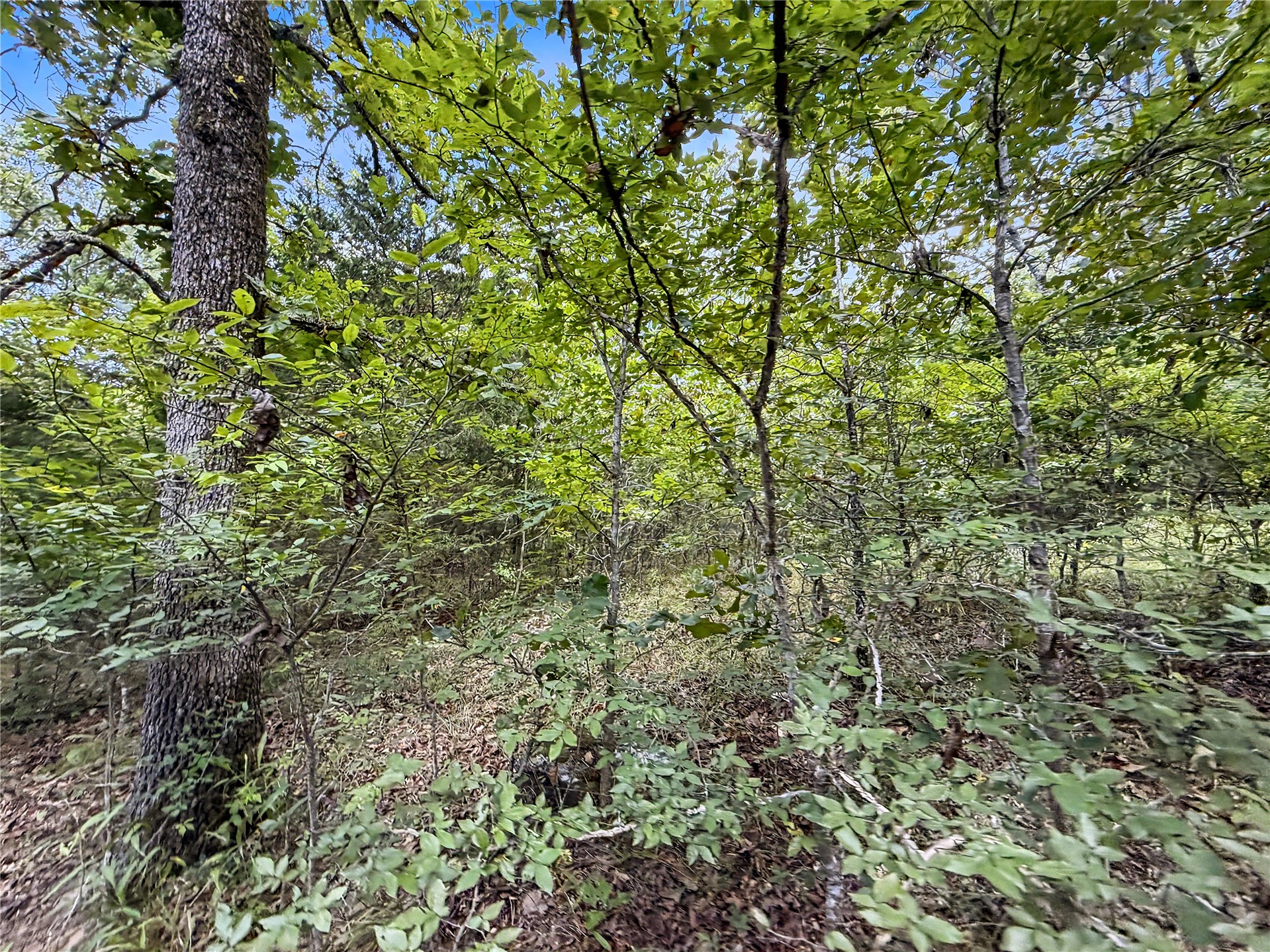 15265 W 917 Road Property Photo 11
