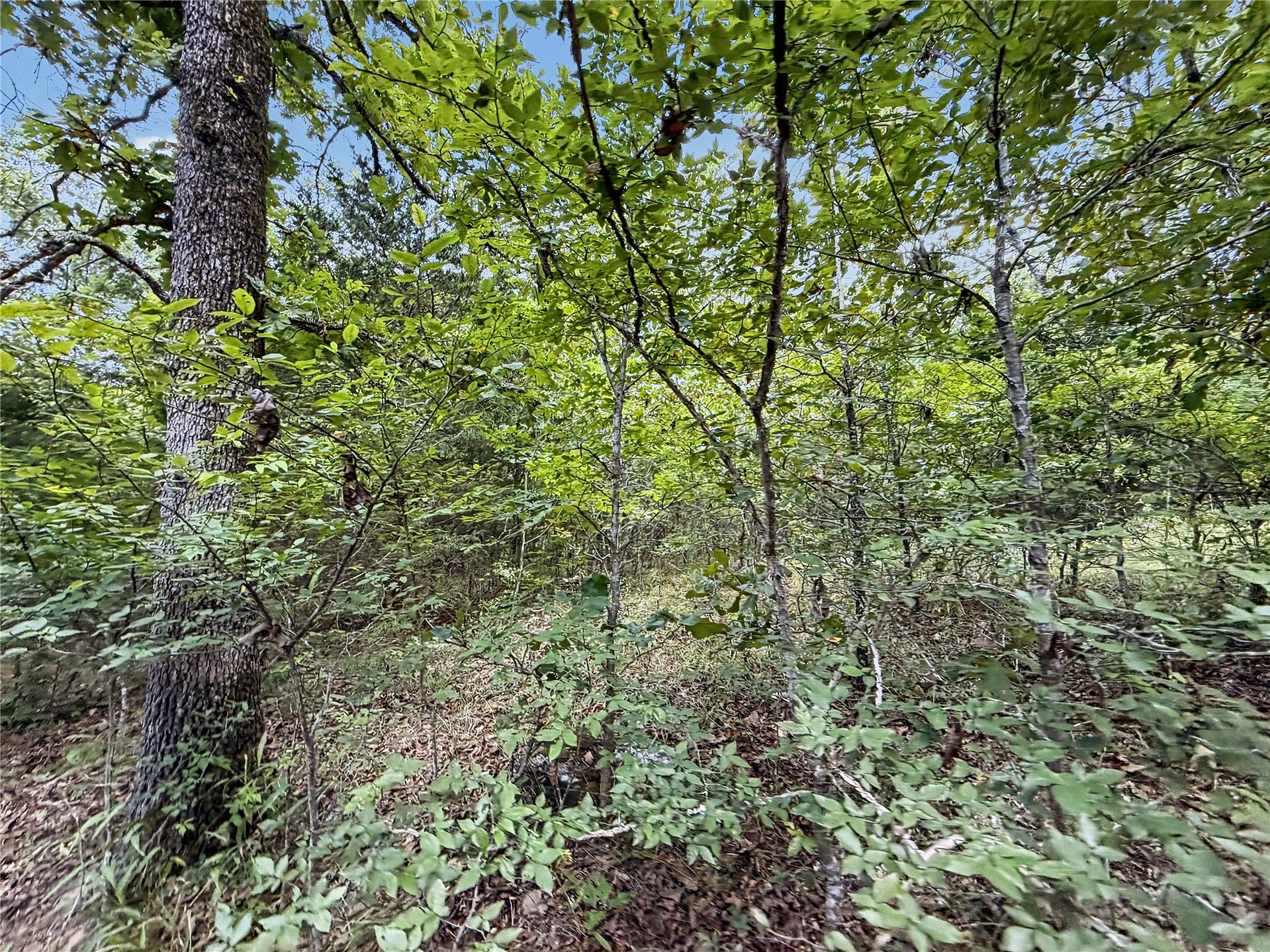15265 W 917 Road Property Photo 11