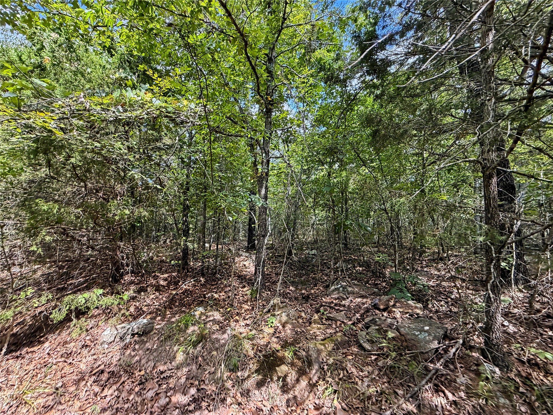 15265 W 917 Road Property Photo 12