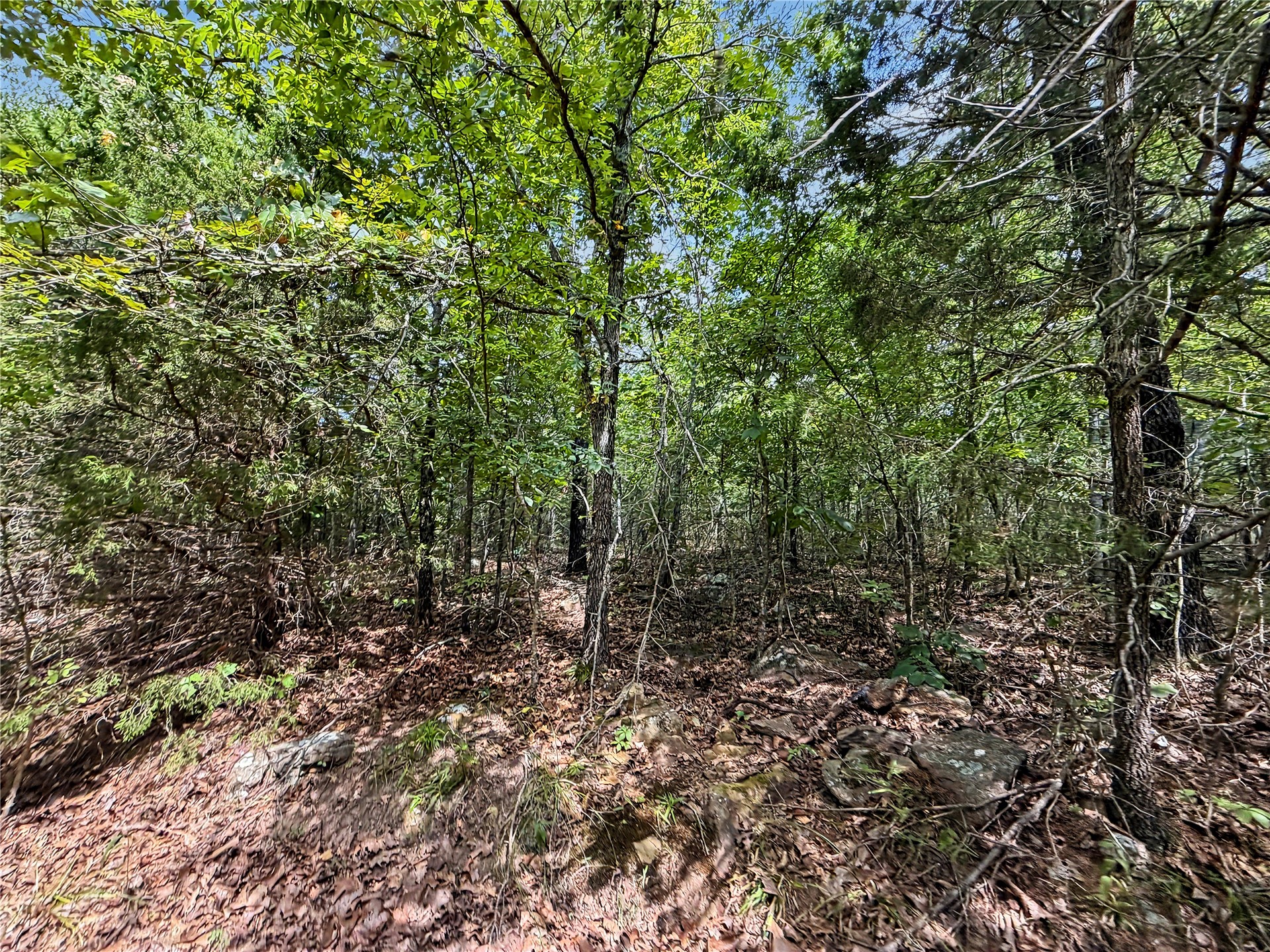 15265 W 917 Road Property Photo 12
