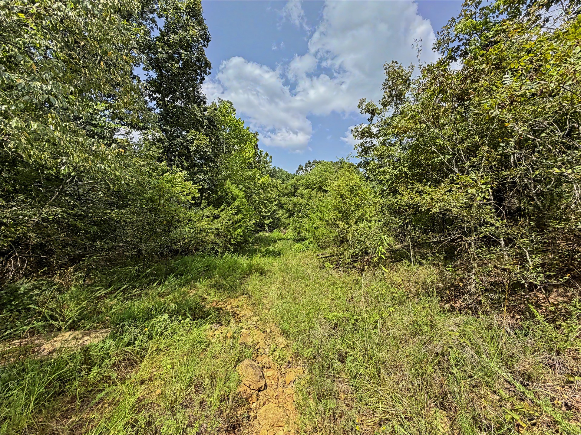 15265 W 917 Road Property Photo 13
