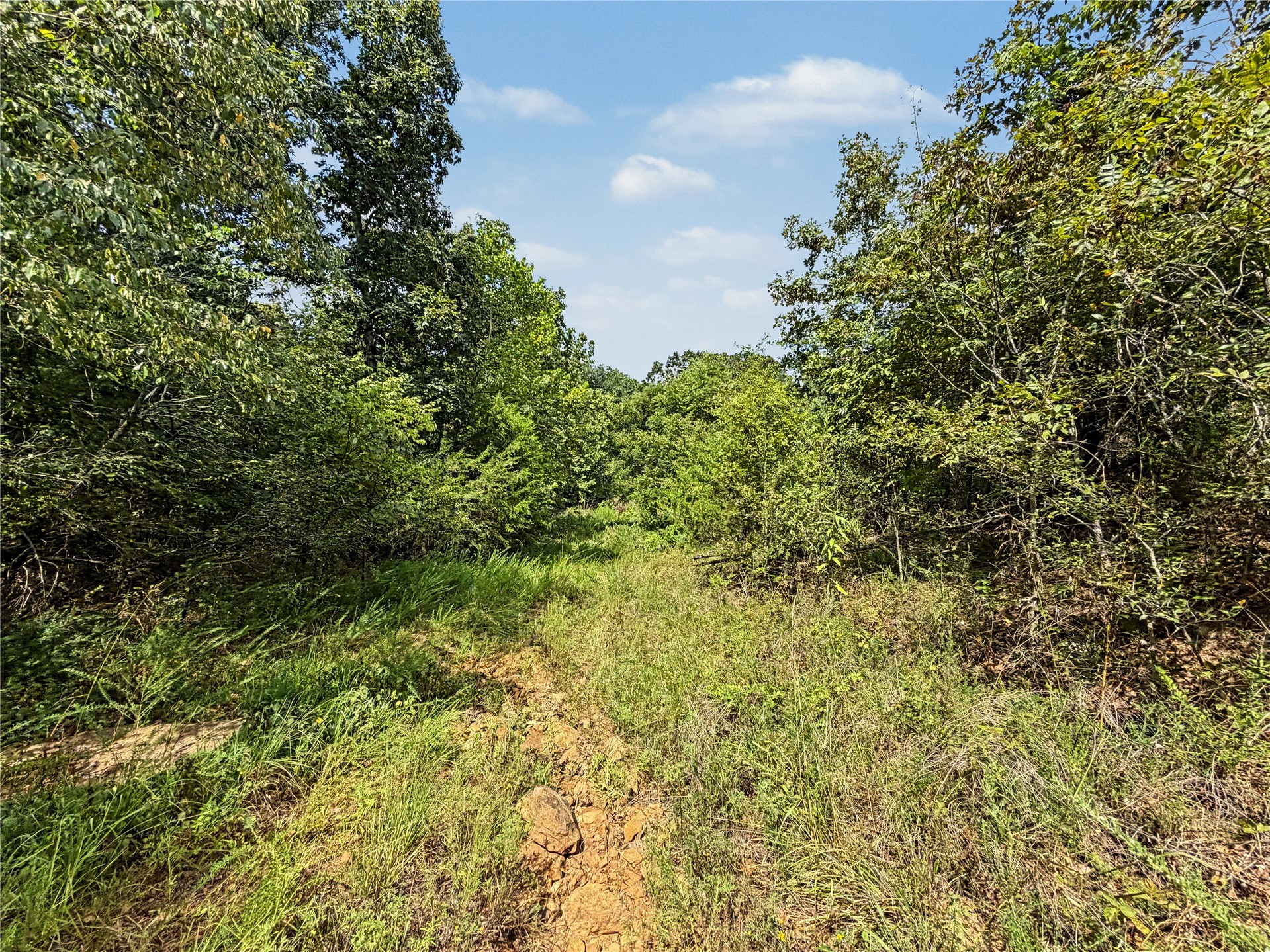 15265 W 917 Road Property Photo 13