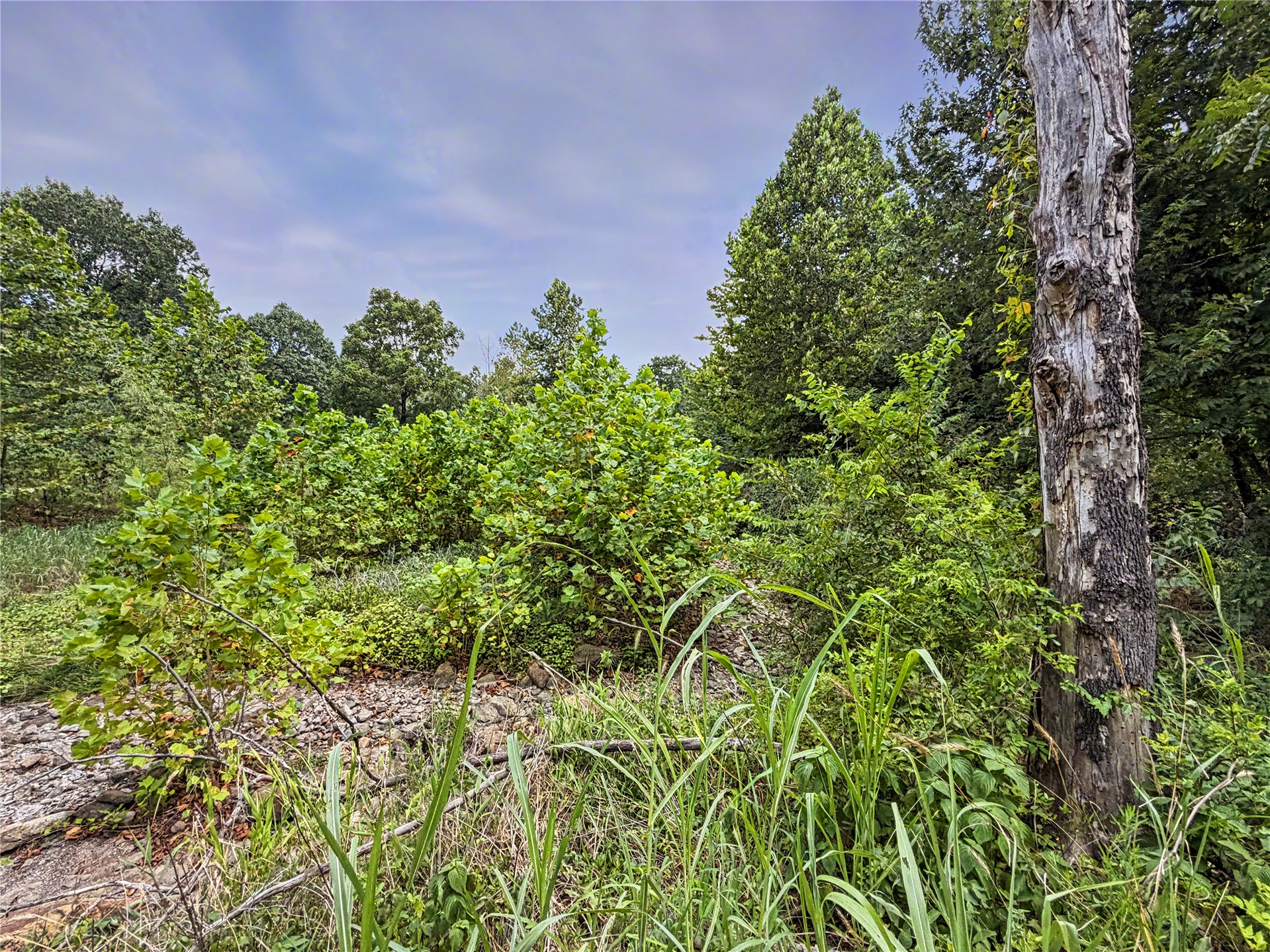15265 W 917 Road Property Photo 14