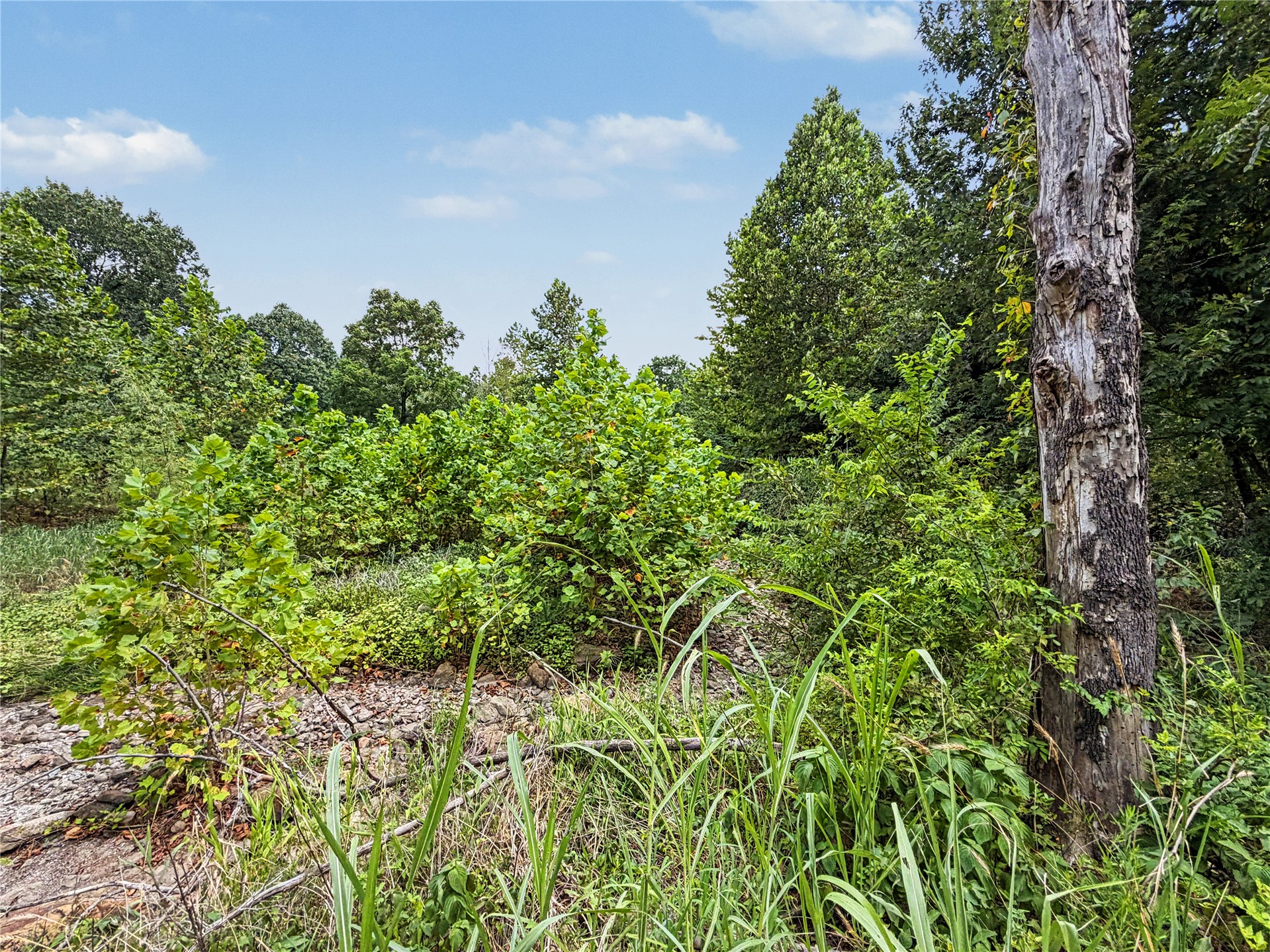 15265 W 917 Road Property Photo 14