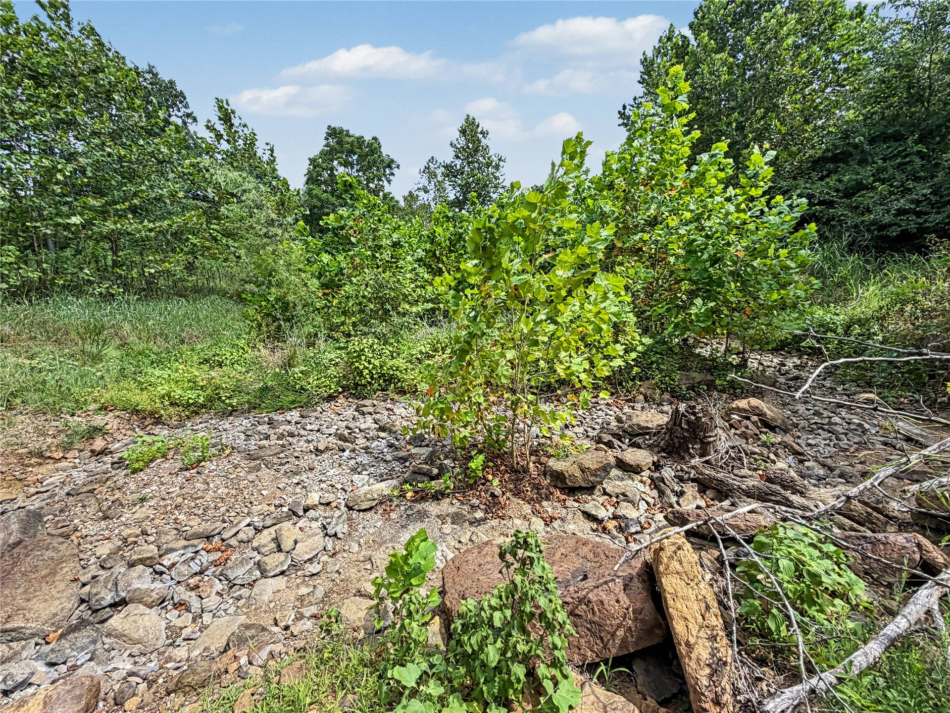 15265 W 917 Road Property Photo 17