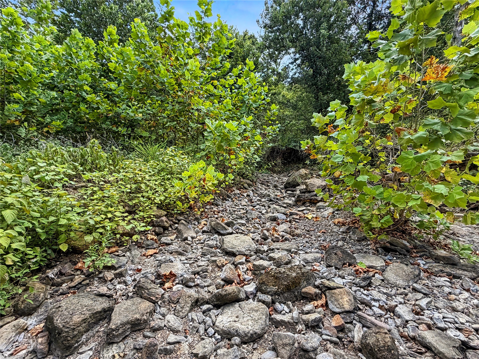 15265 W 917 Road Property Photo 18