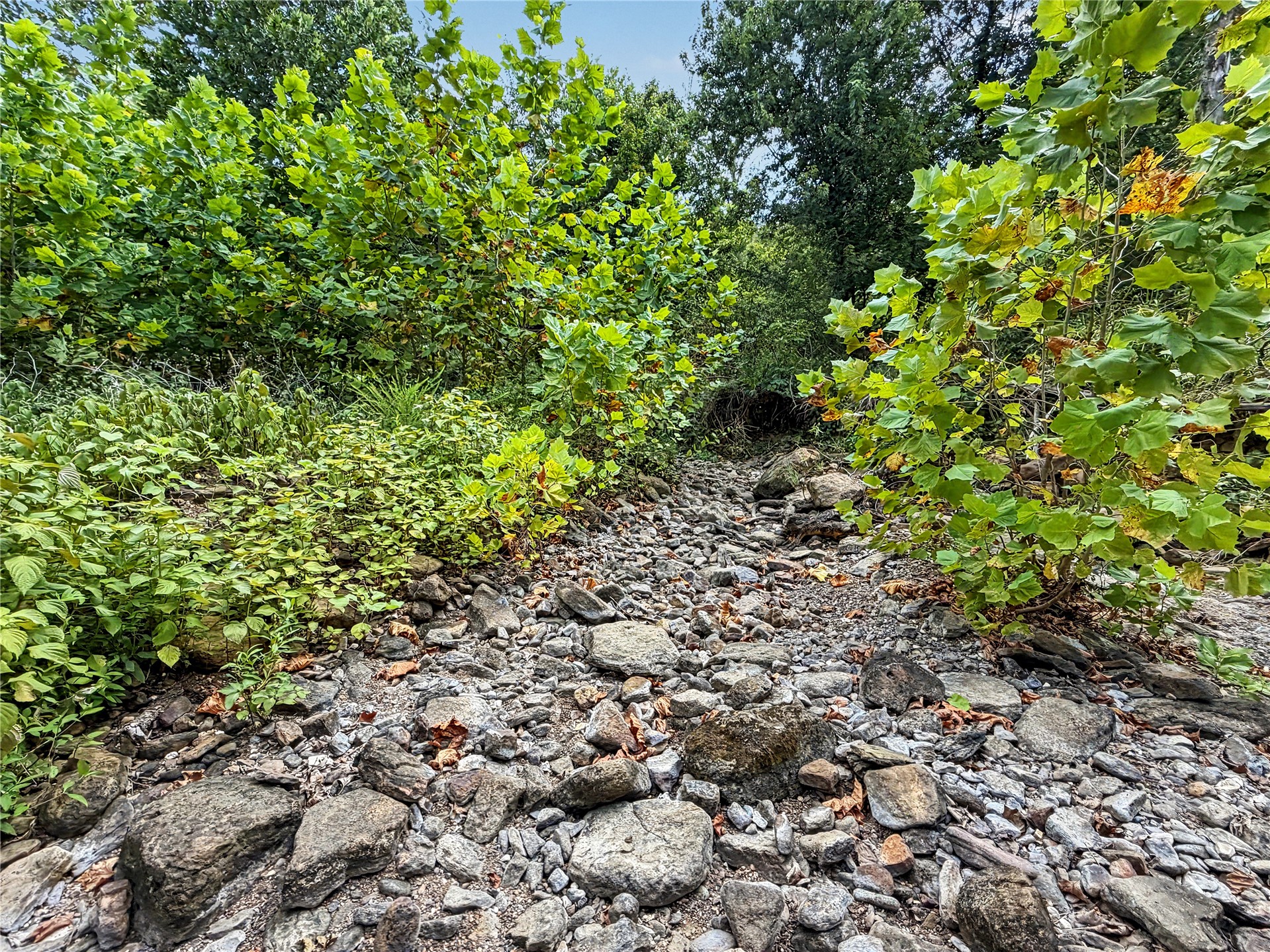 15265 W 917 Road Property Photo 18