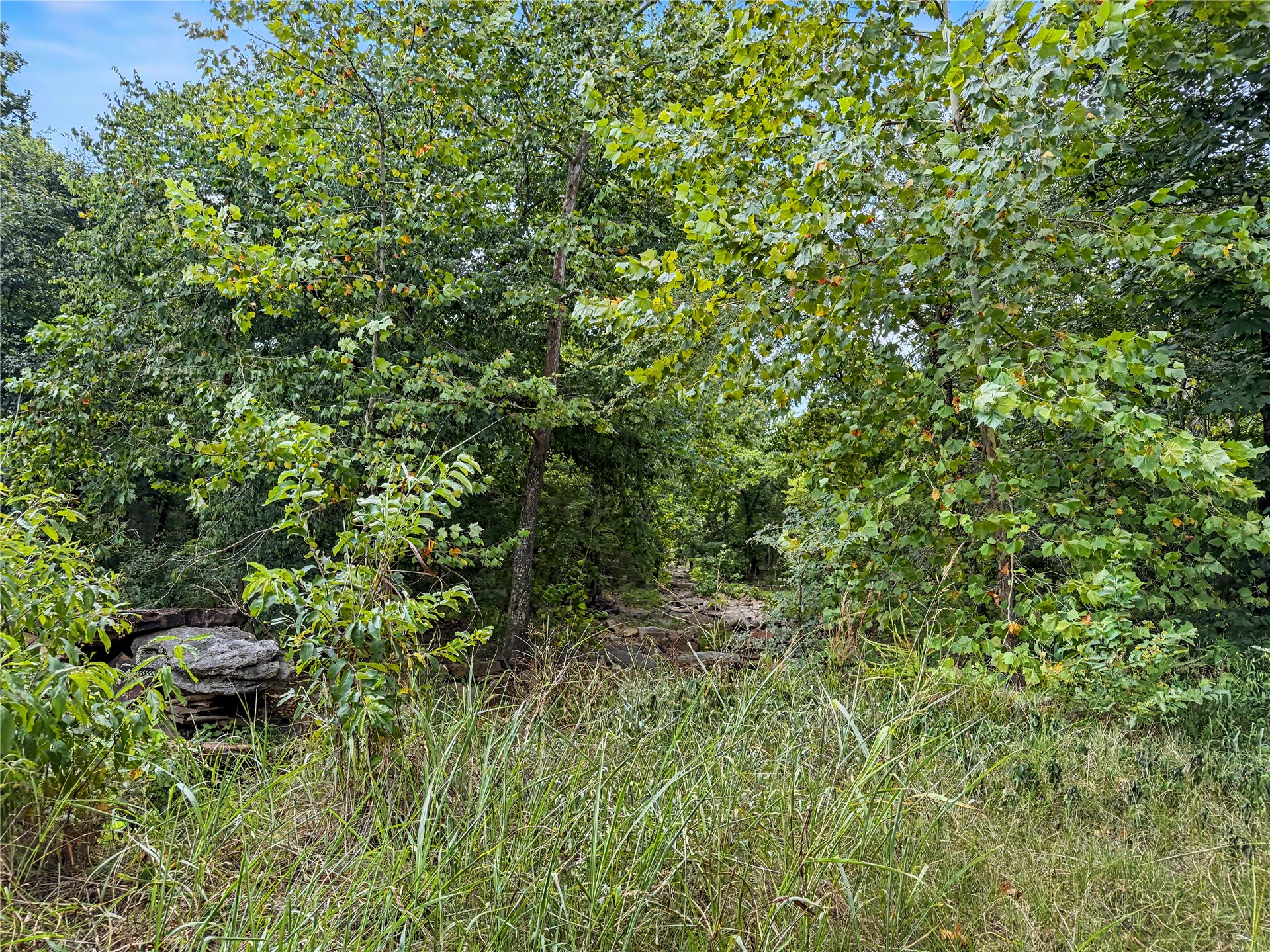 15265 W 917 Road Property Photo 19