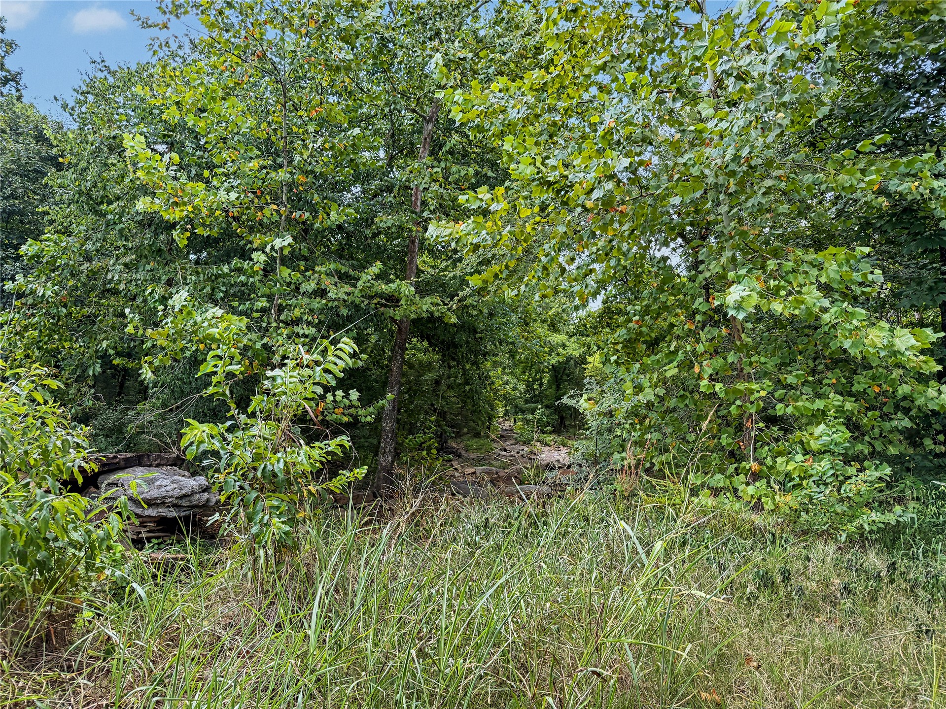 15265 W 917 Road Property Photo 19