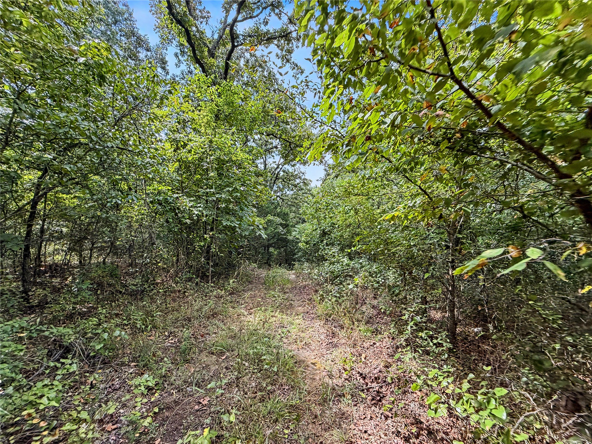 15265 W 917 Road Property Photo 22