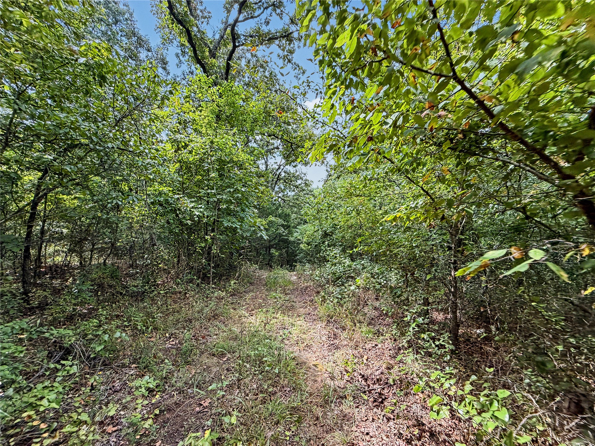 15265 W 917 Road Property Photo 22