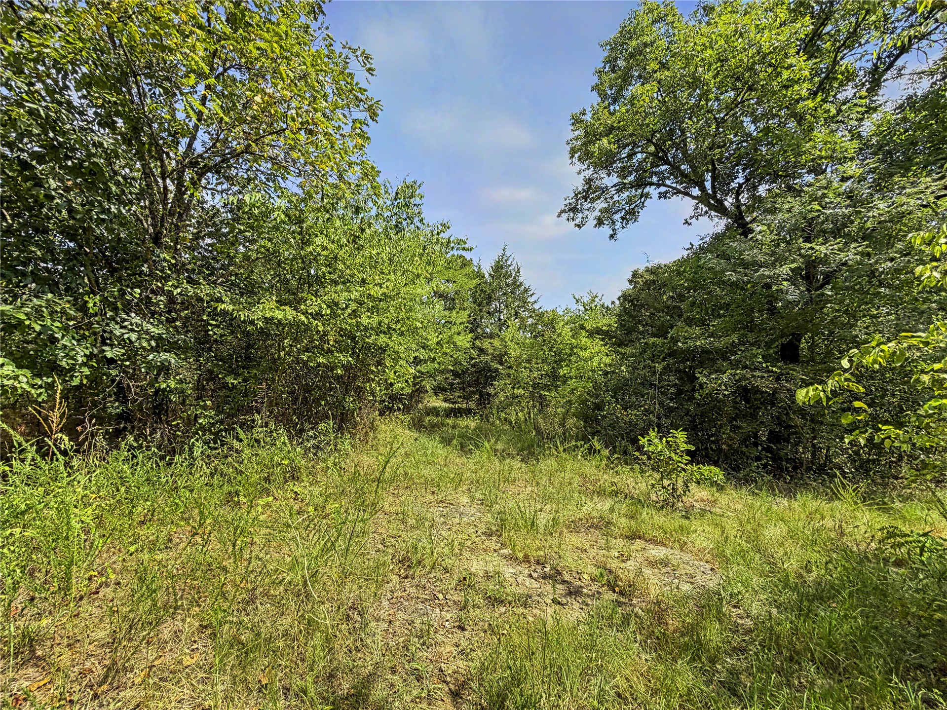 15265 W 917 Road Property Photo 23