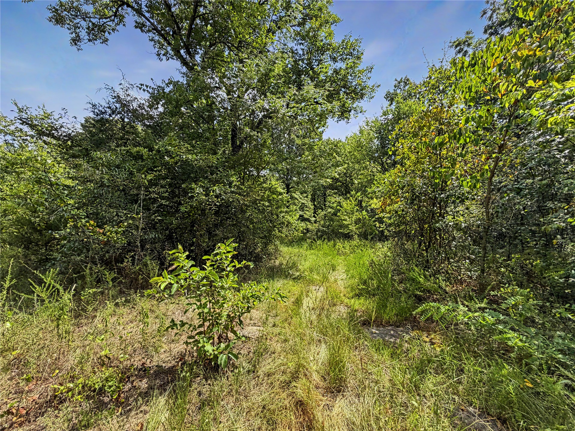 15265 W 917 Road Property Photo 24