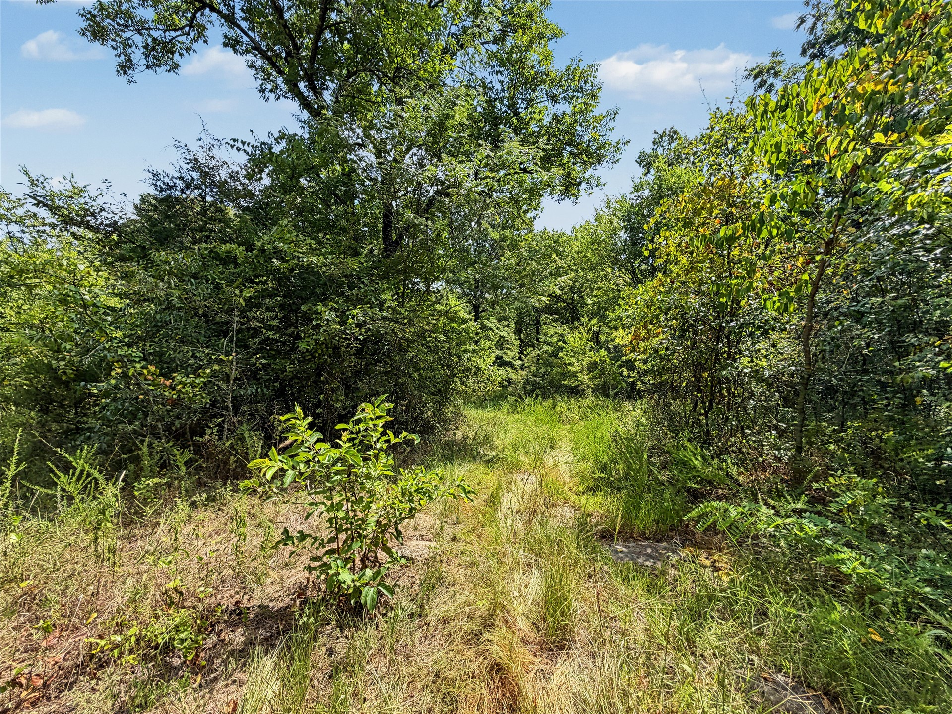 15265 W 917 Road Property Photo 24