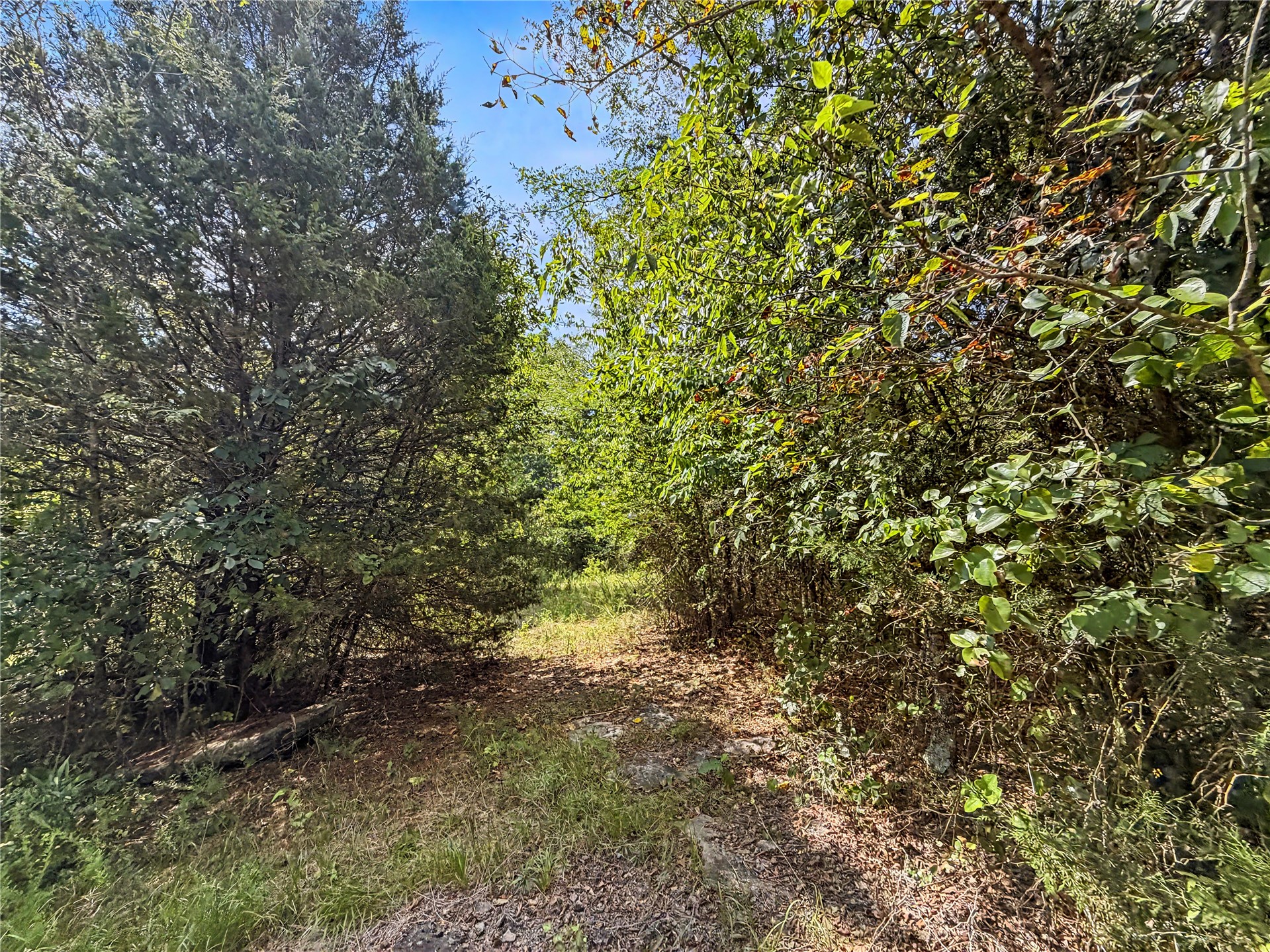 15265 W 917 Road Property Photo 27