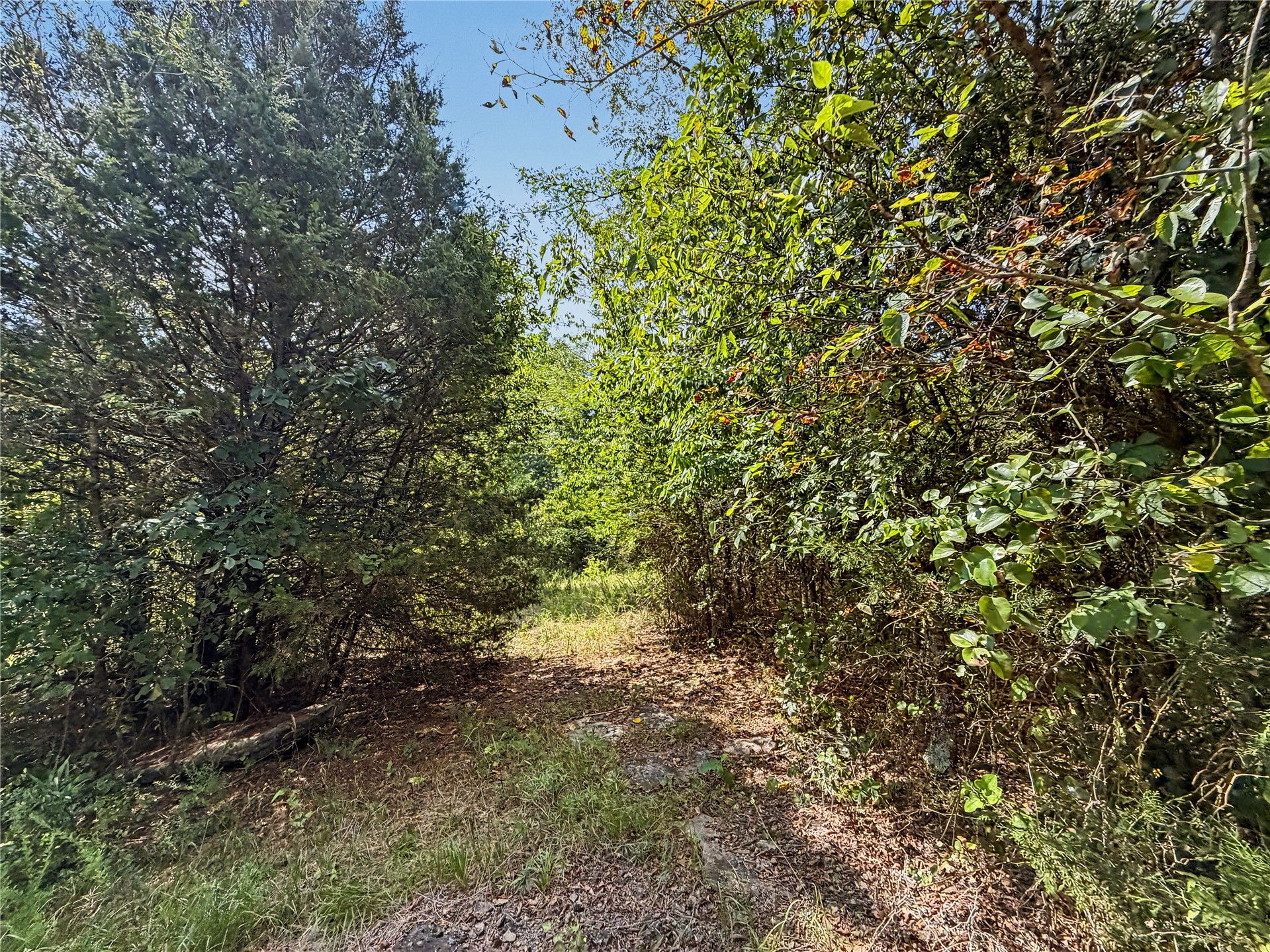 15265 W 917 Road Property Photo 27