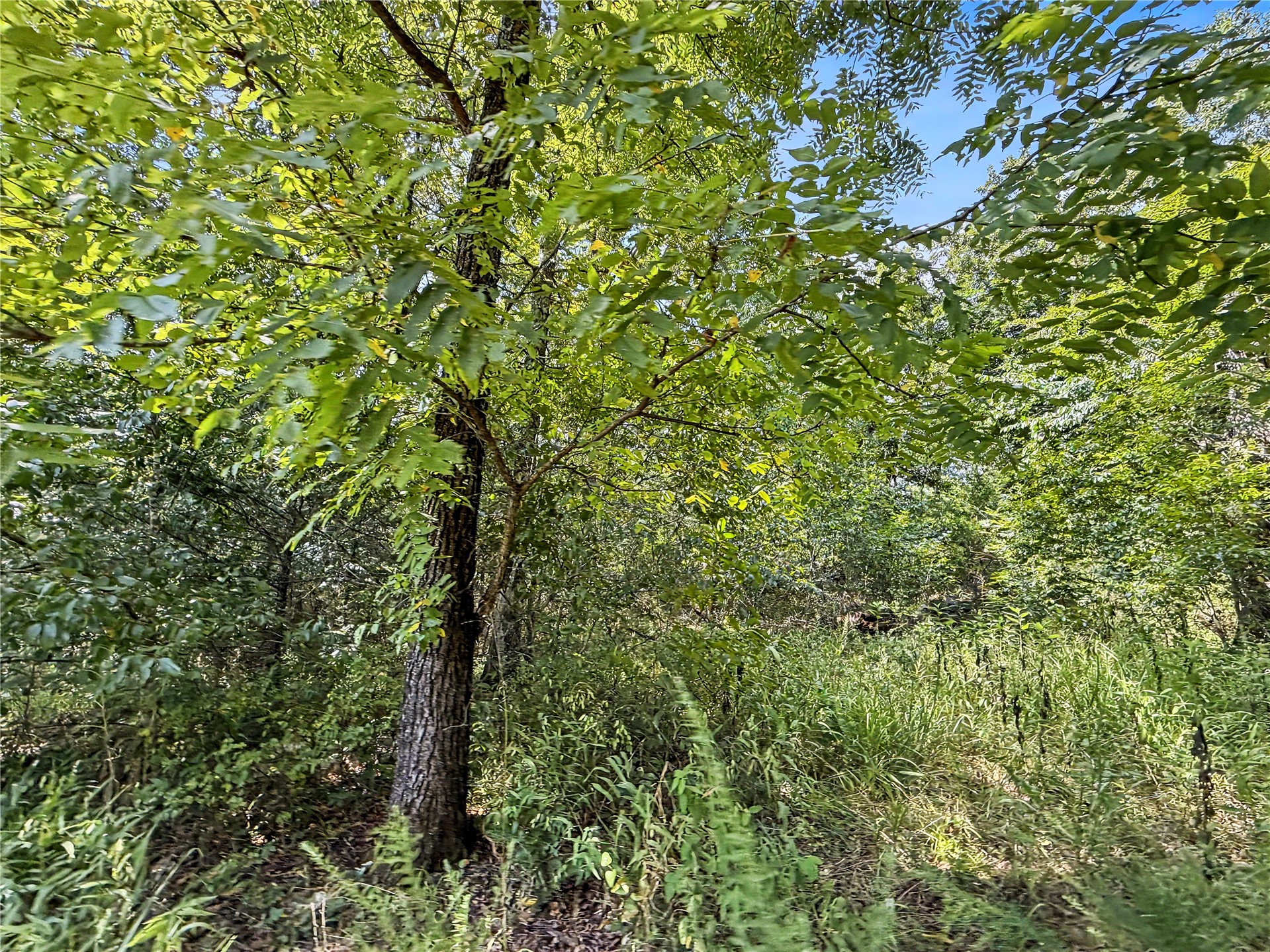 15265 W 917 Road Property Photo 28