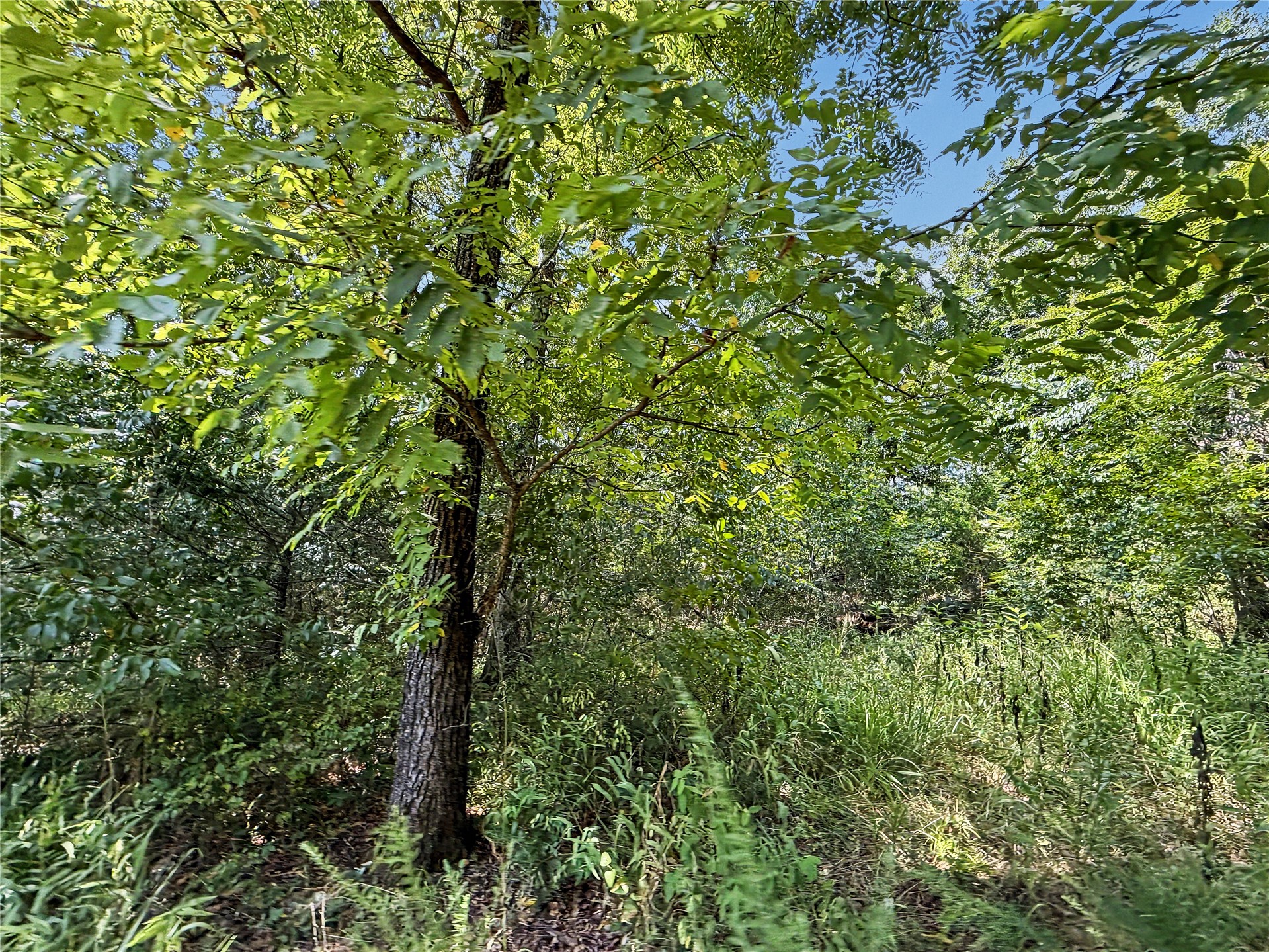 15265 W 917 Road Property Photo 28