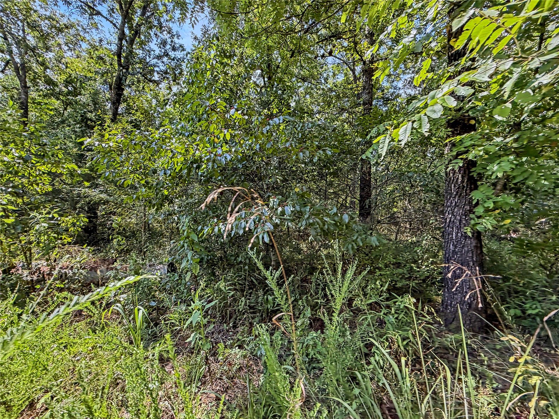 15265 W 917 Road Property Photo 29