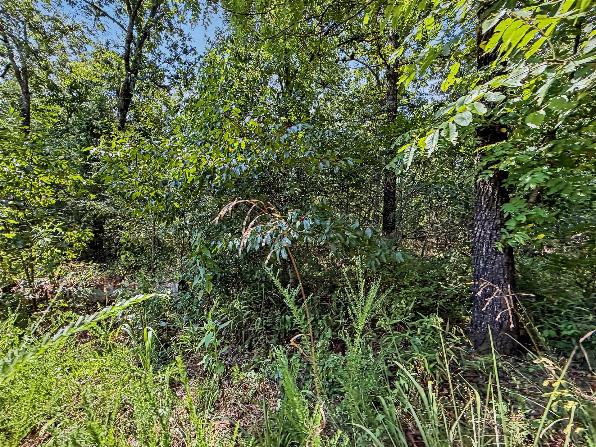 15265 W 917 Road Property Photo 29