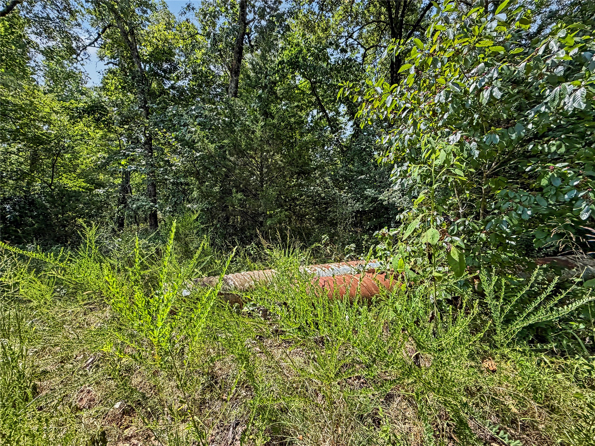 15265 W 917 Road Property Photo 30
